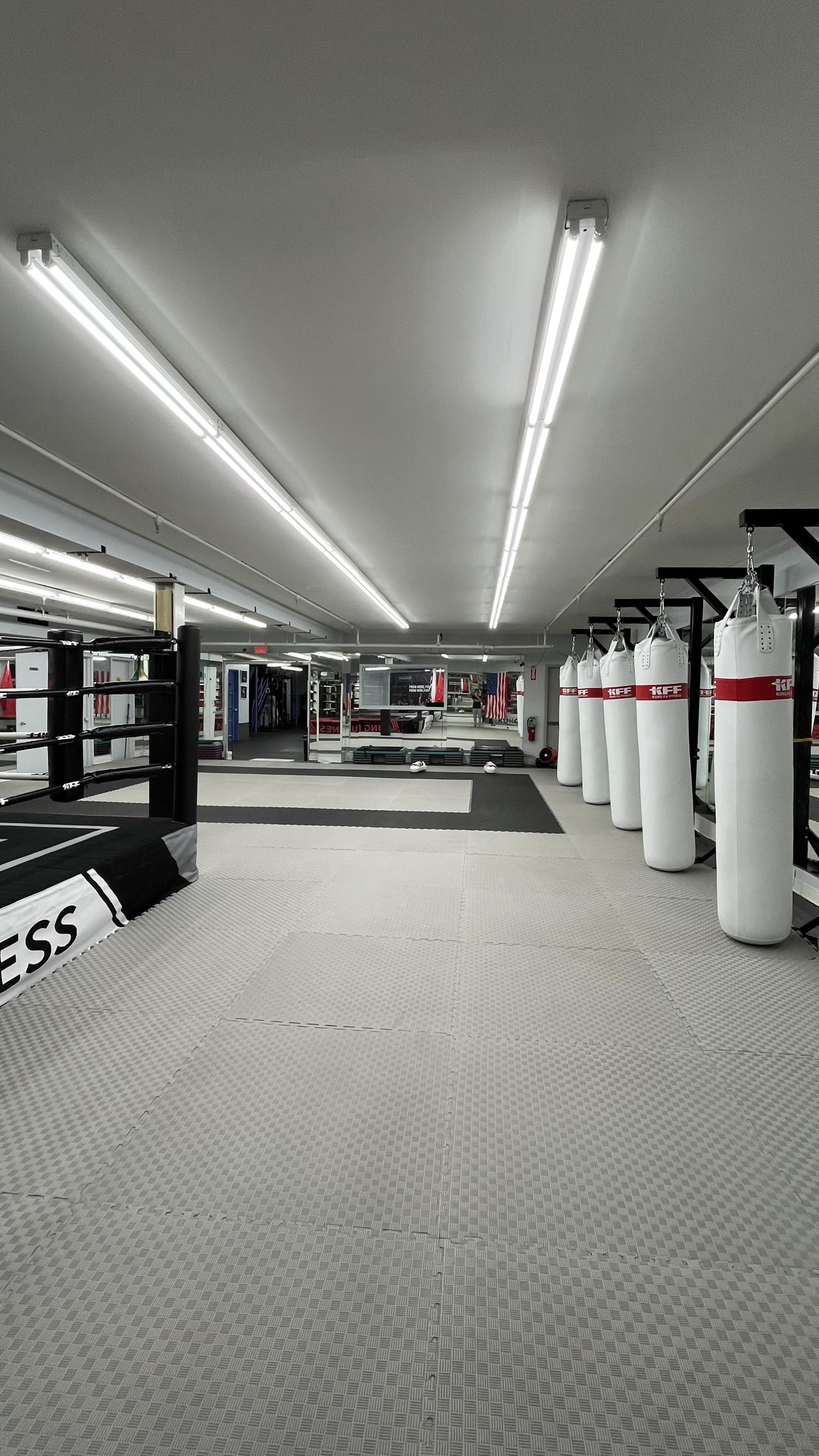 Spacious Studio in Great Neck with Modern Amenities Image in North Hempstead, Great Neck, NY