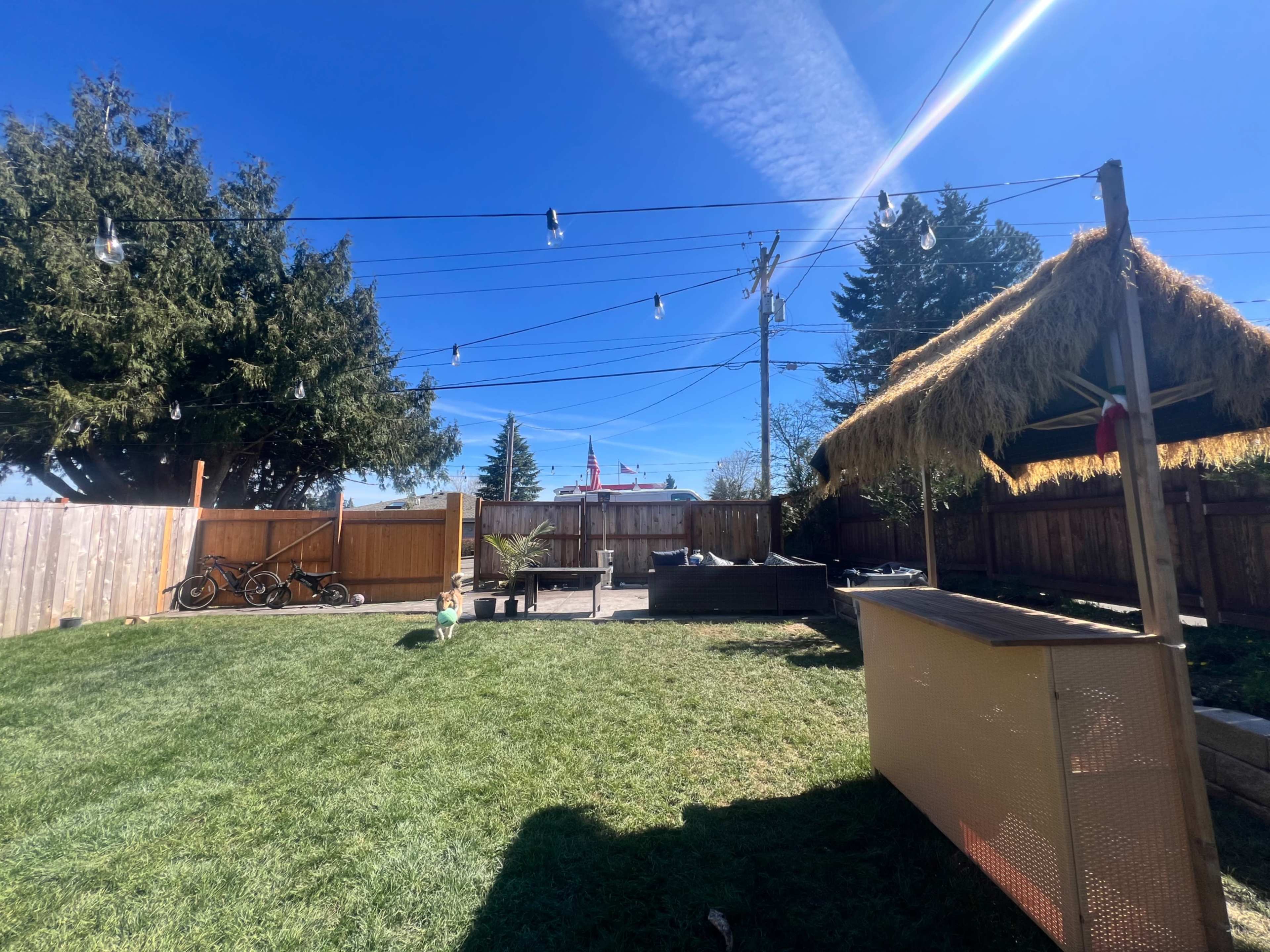 The image shows a backyard with a grassy area, a thatched-roof structure, string lights above, and a wooden fence in the background.