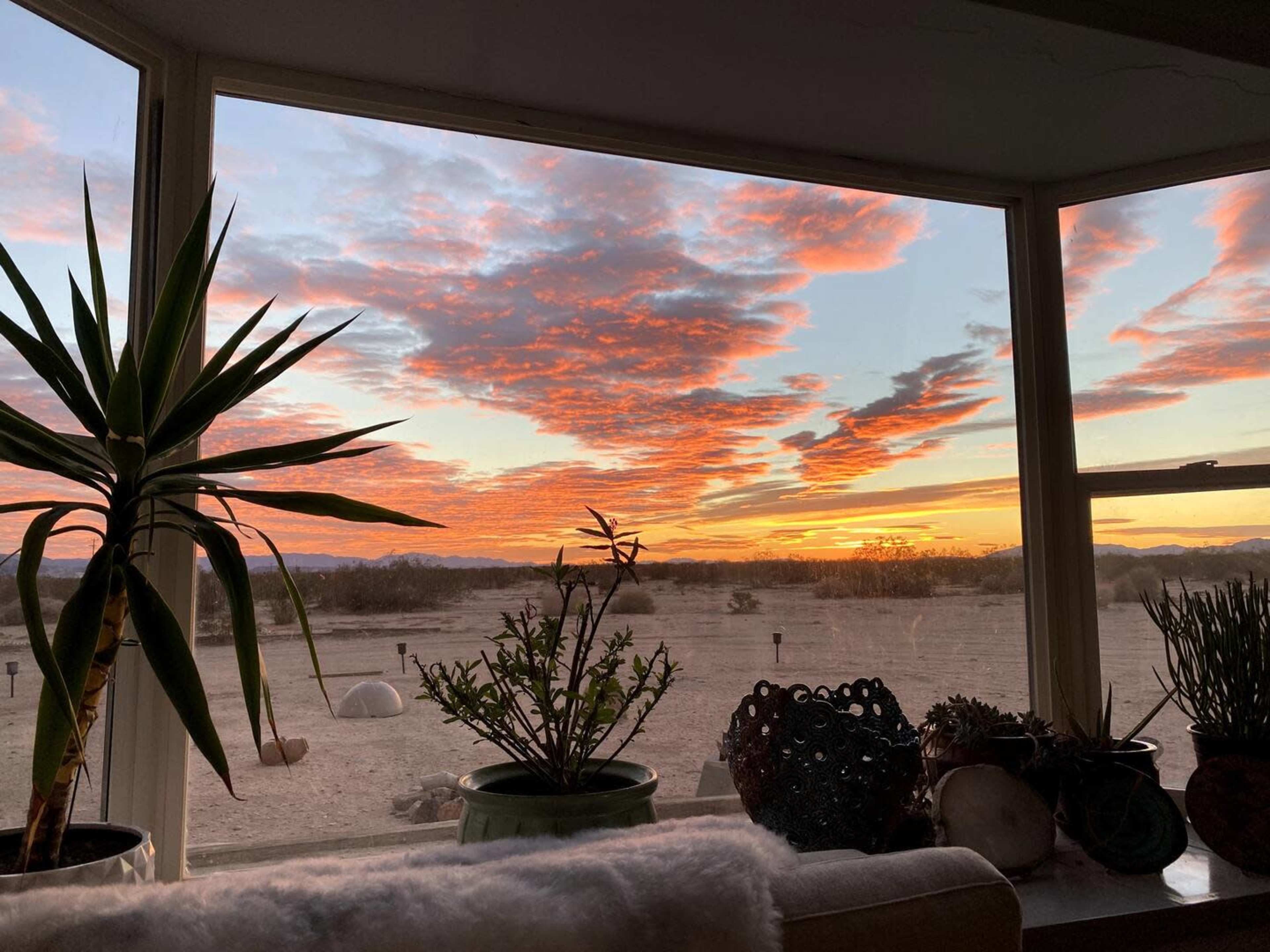 A view of a desert landscape at sunset, framed by indoor plants and a large window.