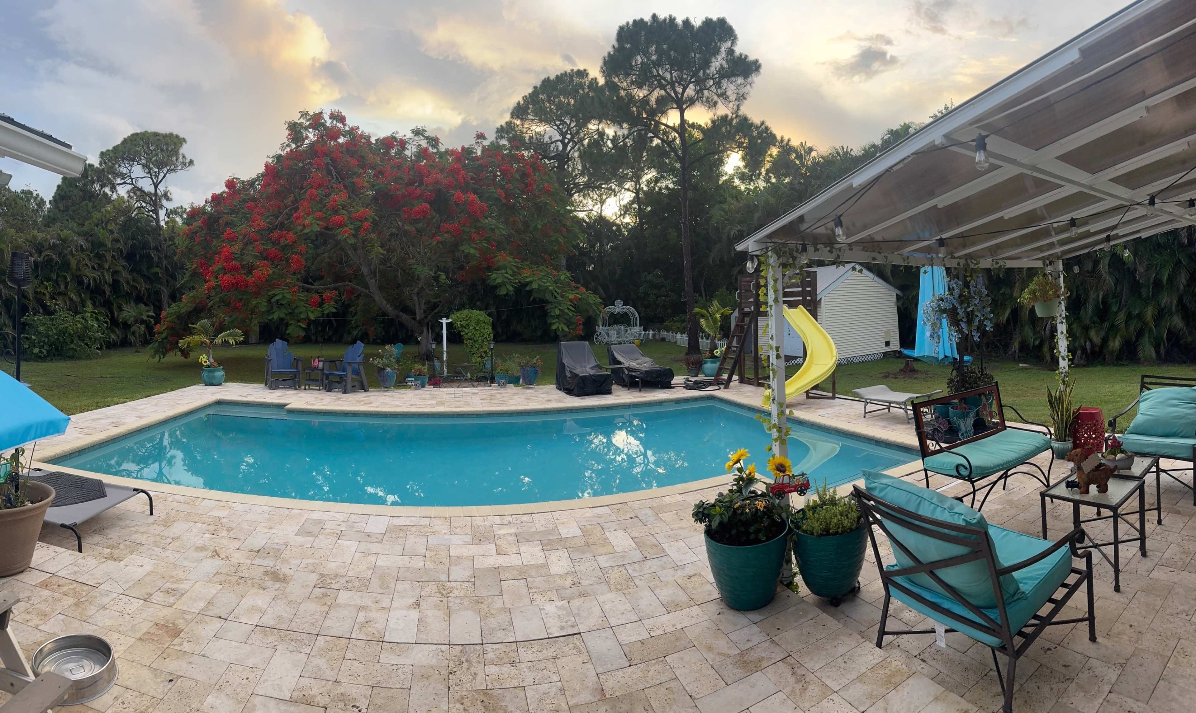 Relaxing butterfly retreat with a pool Image in The Acreage, West Palm Beach, FL