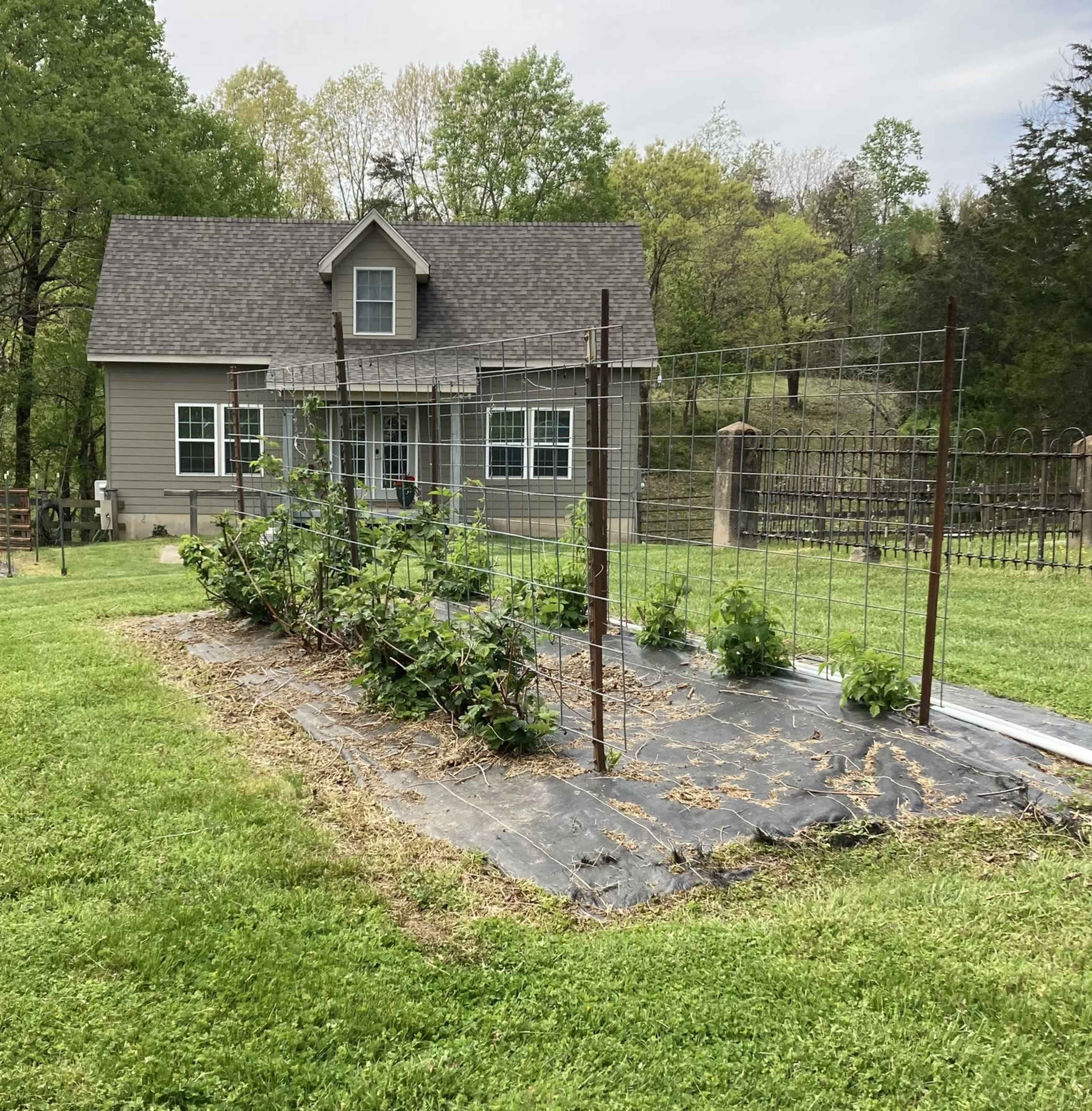 A vegetable garden with trellises is positioned in the foreground, while a house is visible in the background surrounded by trees.