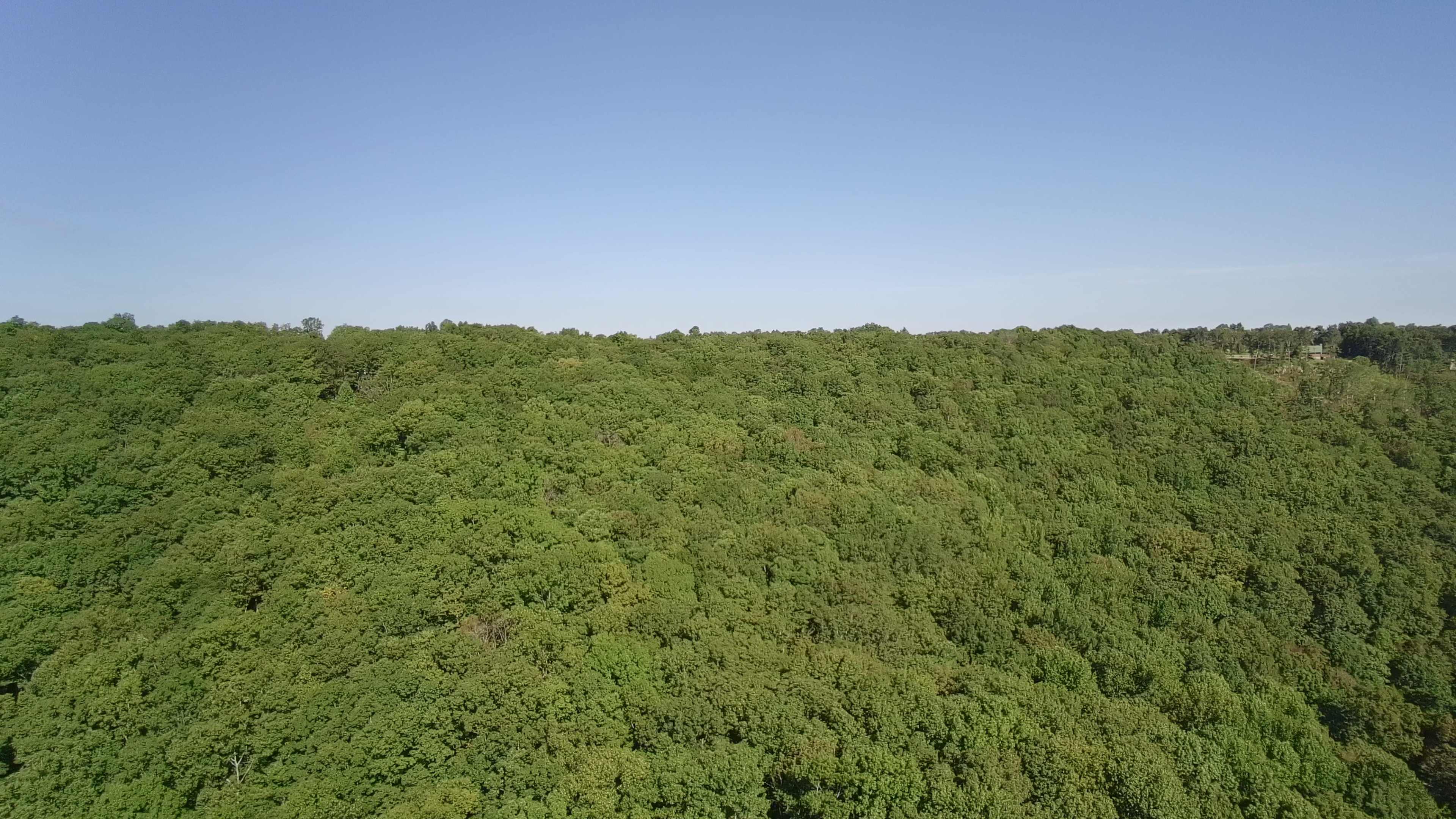 A dense forest extends across the landscape under a clear blue sky.
