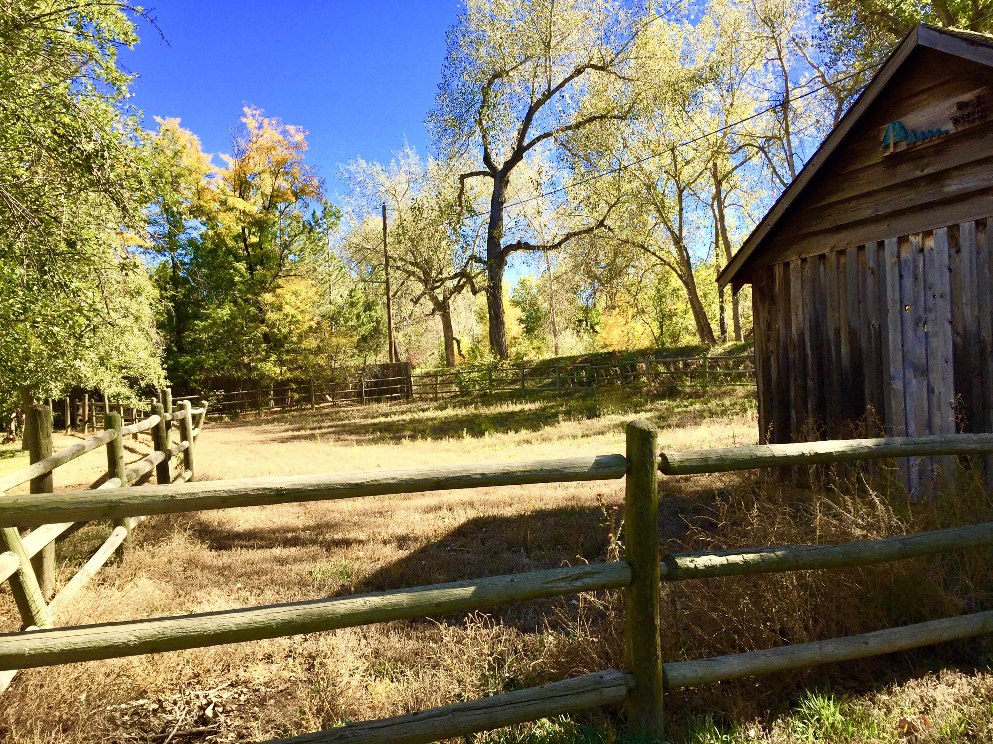 A fenced area with a wooden structure and trees in the background under a clear blue sky.
