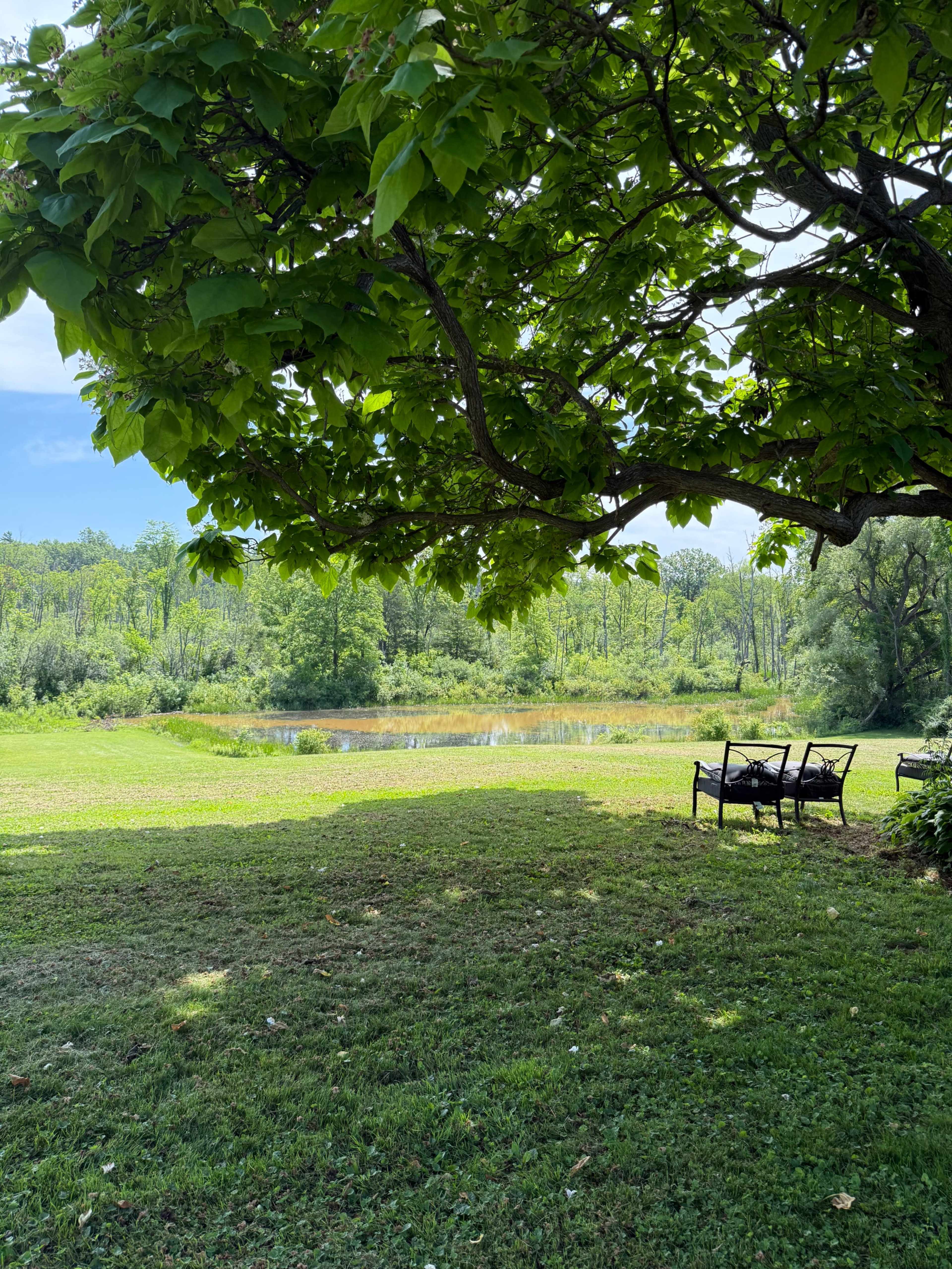 Voorheesville rustic country outdoor venue Image in New Scotland, Voorheesville, NY