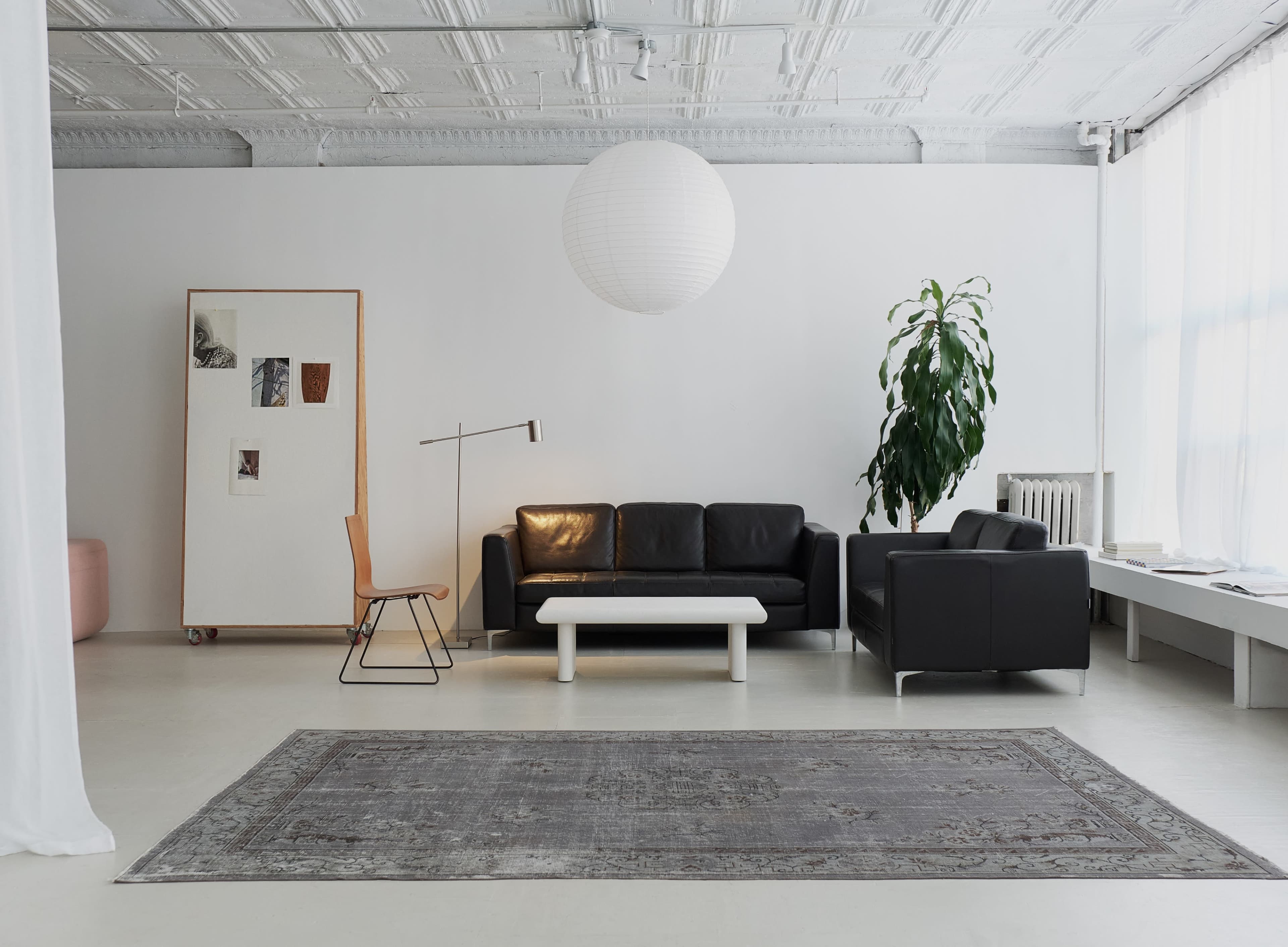 The image shows a modern, minimalist living room with a black leather sofa, a white coffee table, a wooden chair, and a tall indoor plant, all set against a white wall.