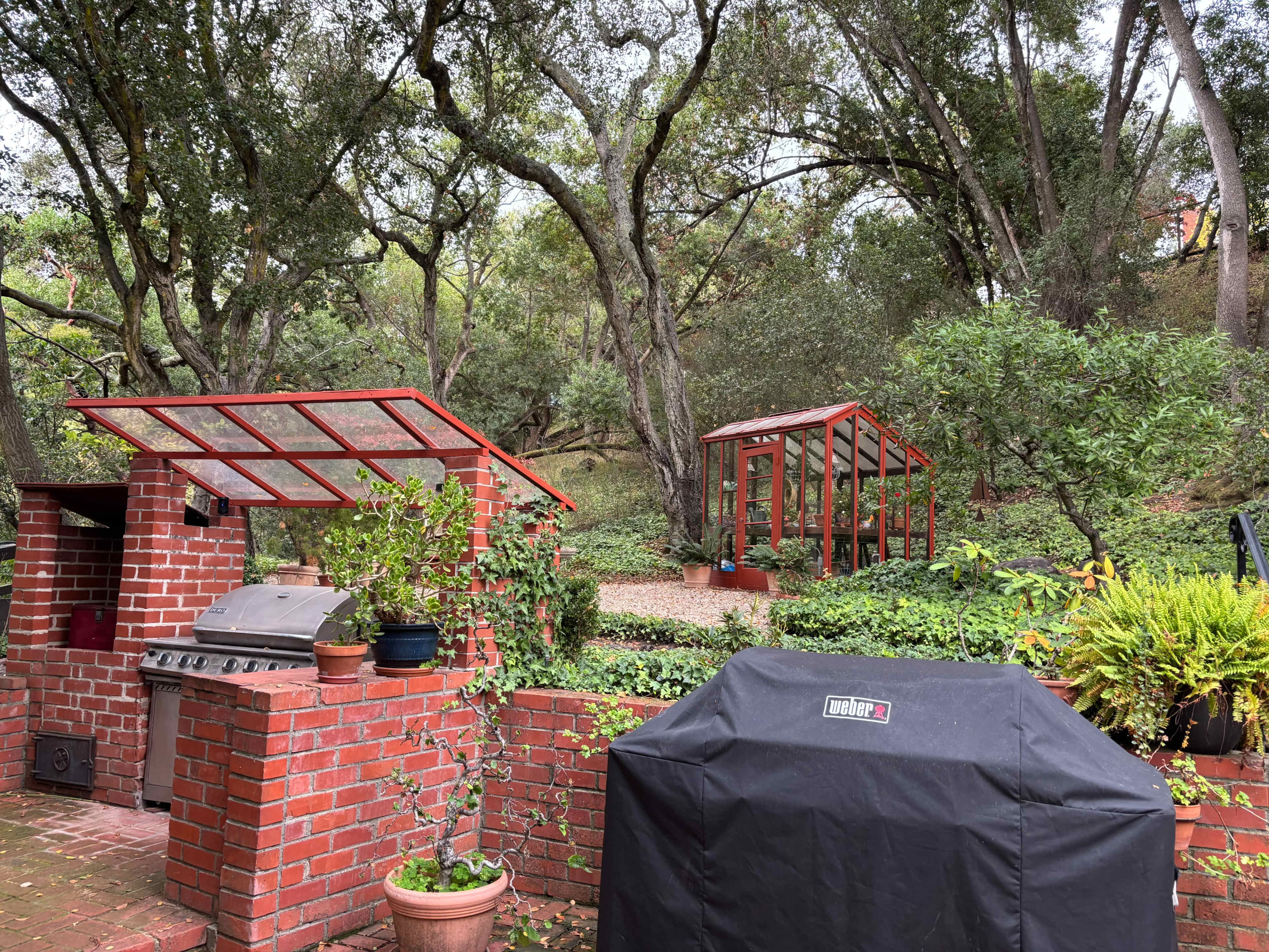 Scenic Garden Backyard with Deck and San Leandro Creek Views — Perfect for Photoshoots Image in Sheffield Village, San Leandro, CA