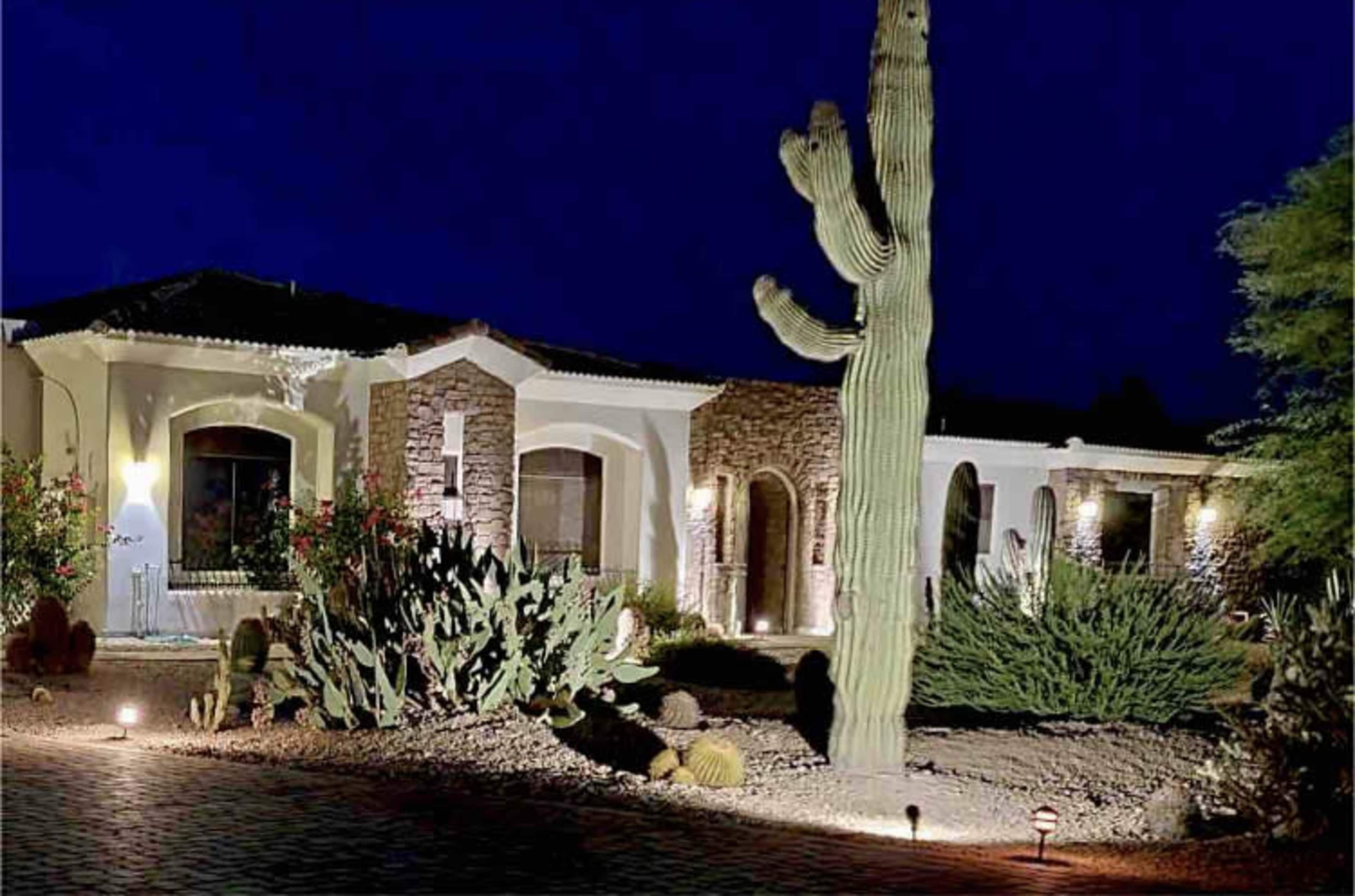 A well-lit house with stone accents is surrounded by desert vegetation and a tall cactus at night.