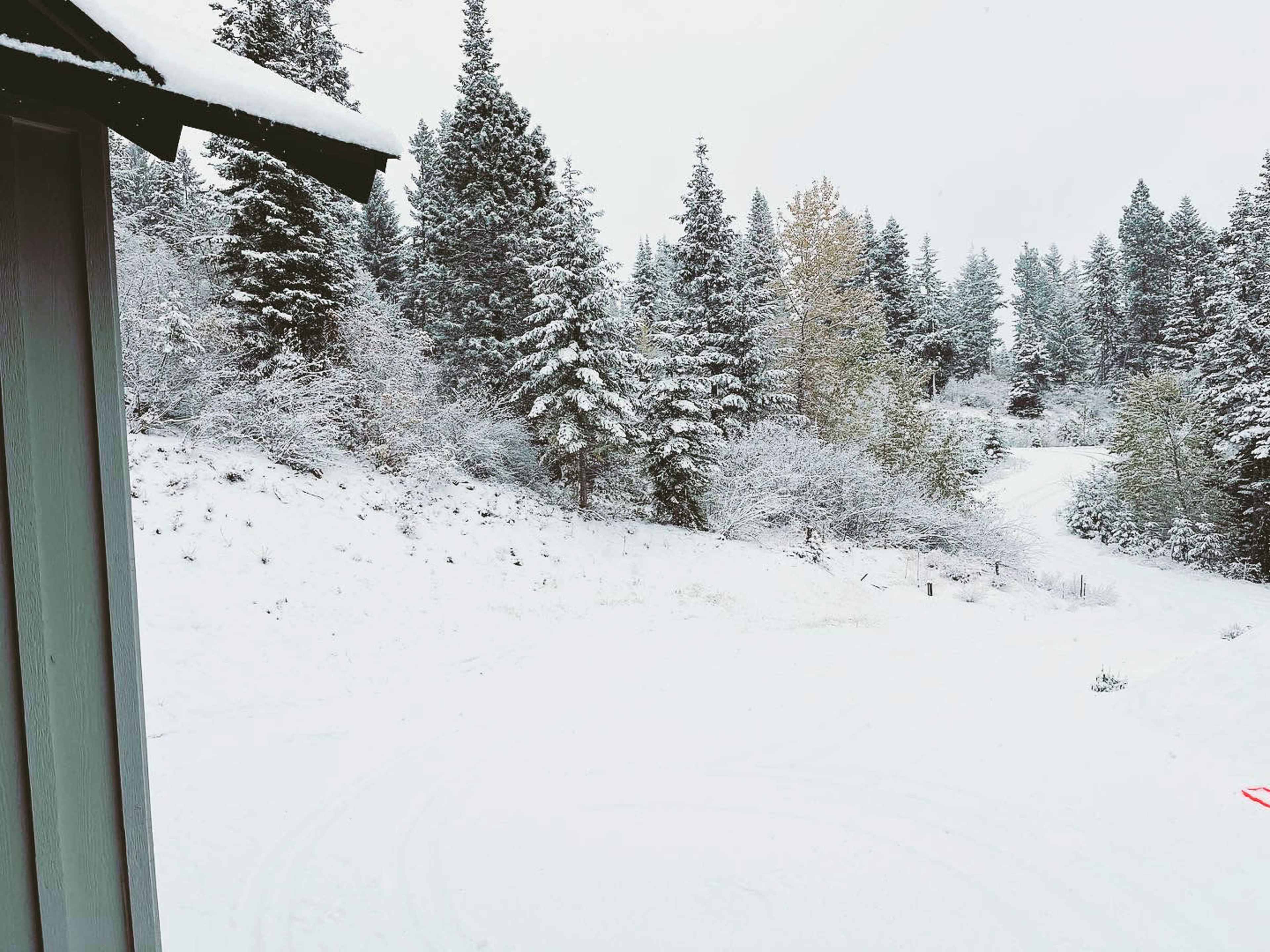 A snowy landscape features trees covered in white frost and a path winding through the snow.