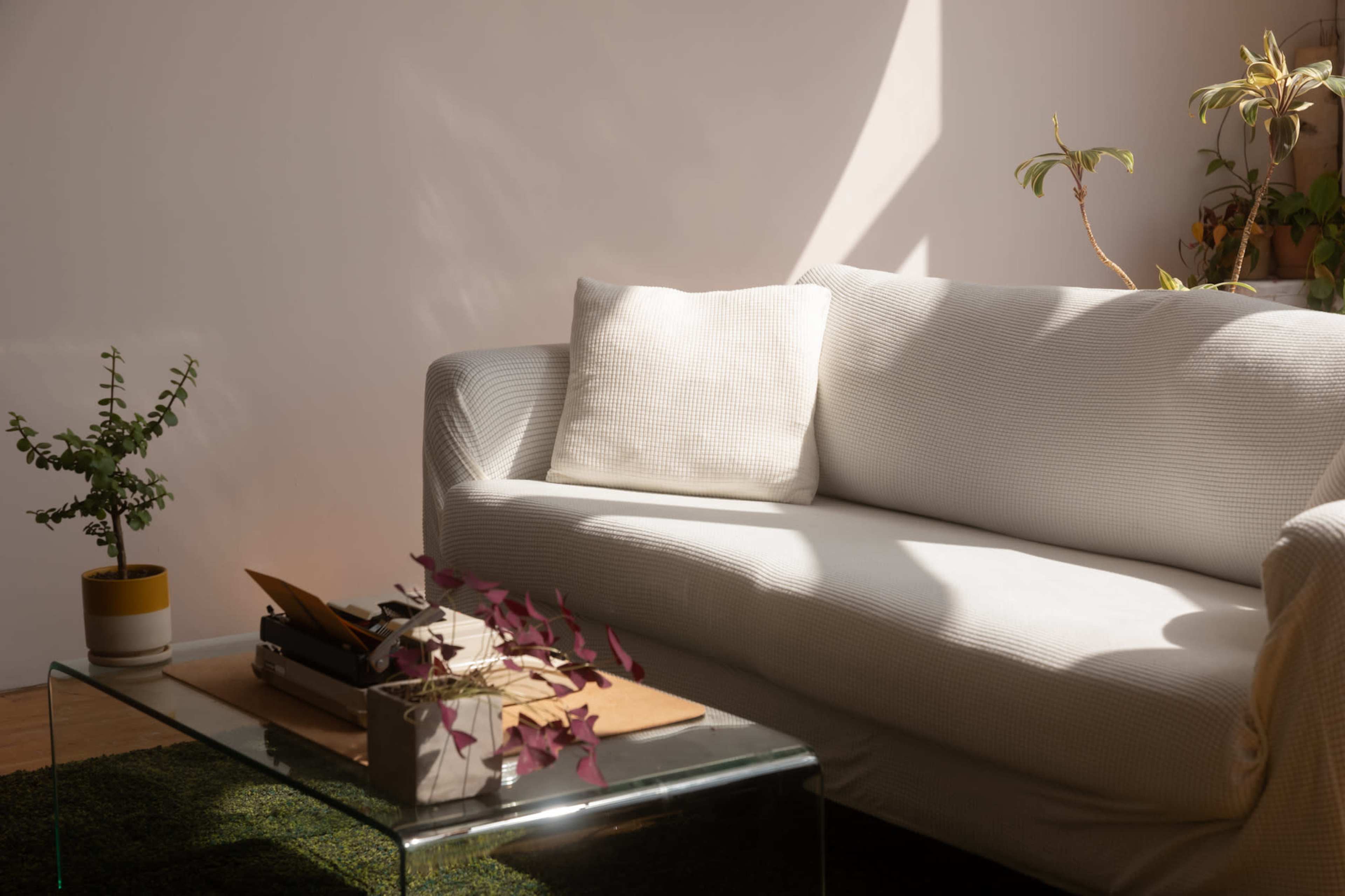 A white sofa with a cushion sits next to a glass coffee table adorned with plants and scattered papers, illuminated by sunlight.