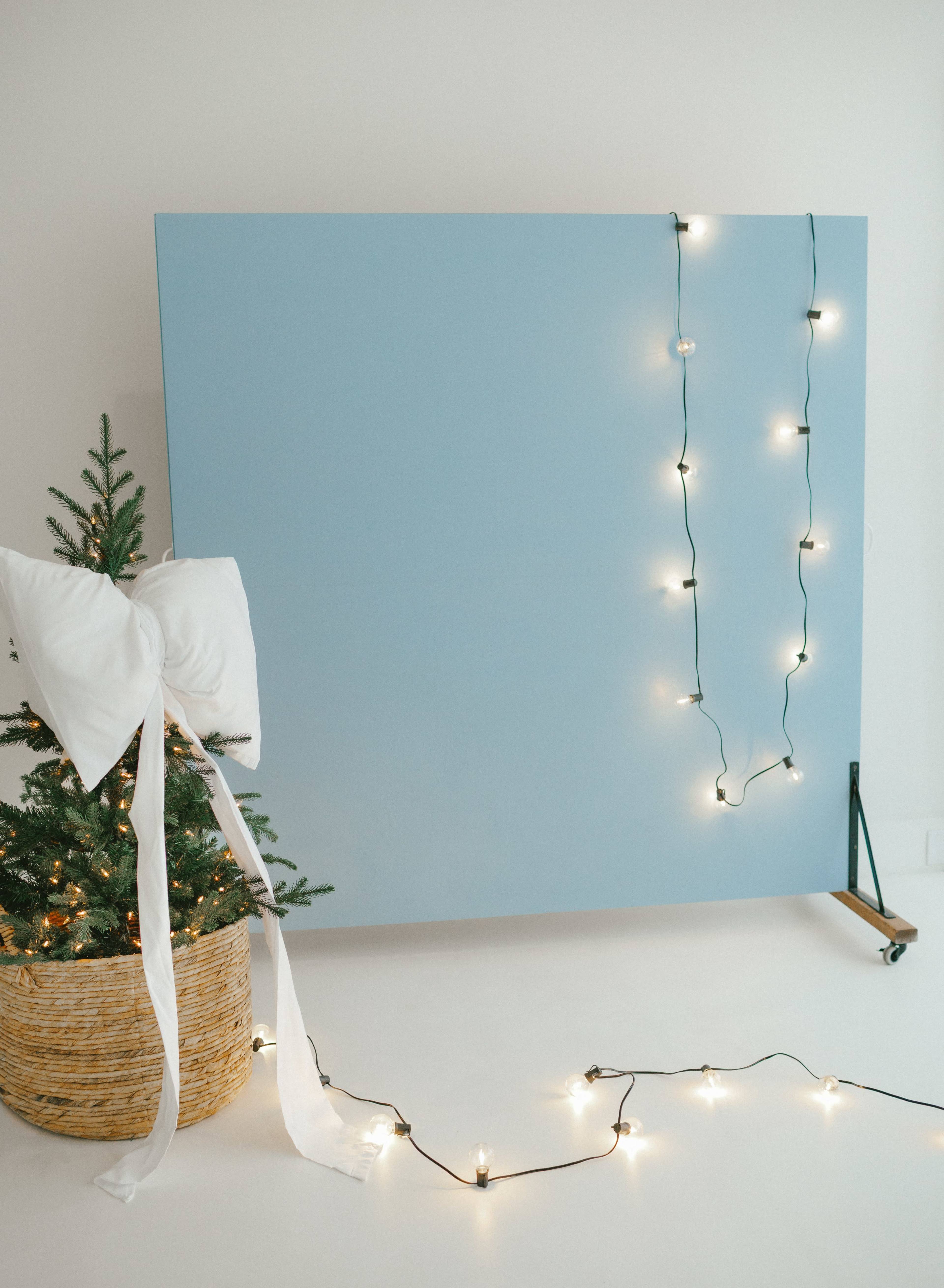 A small Christmas tree in a woven basket is next to a blue backdrop with string lights draped around it.