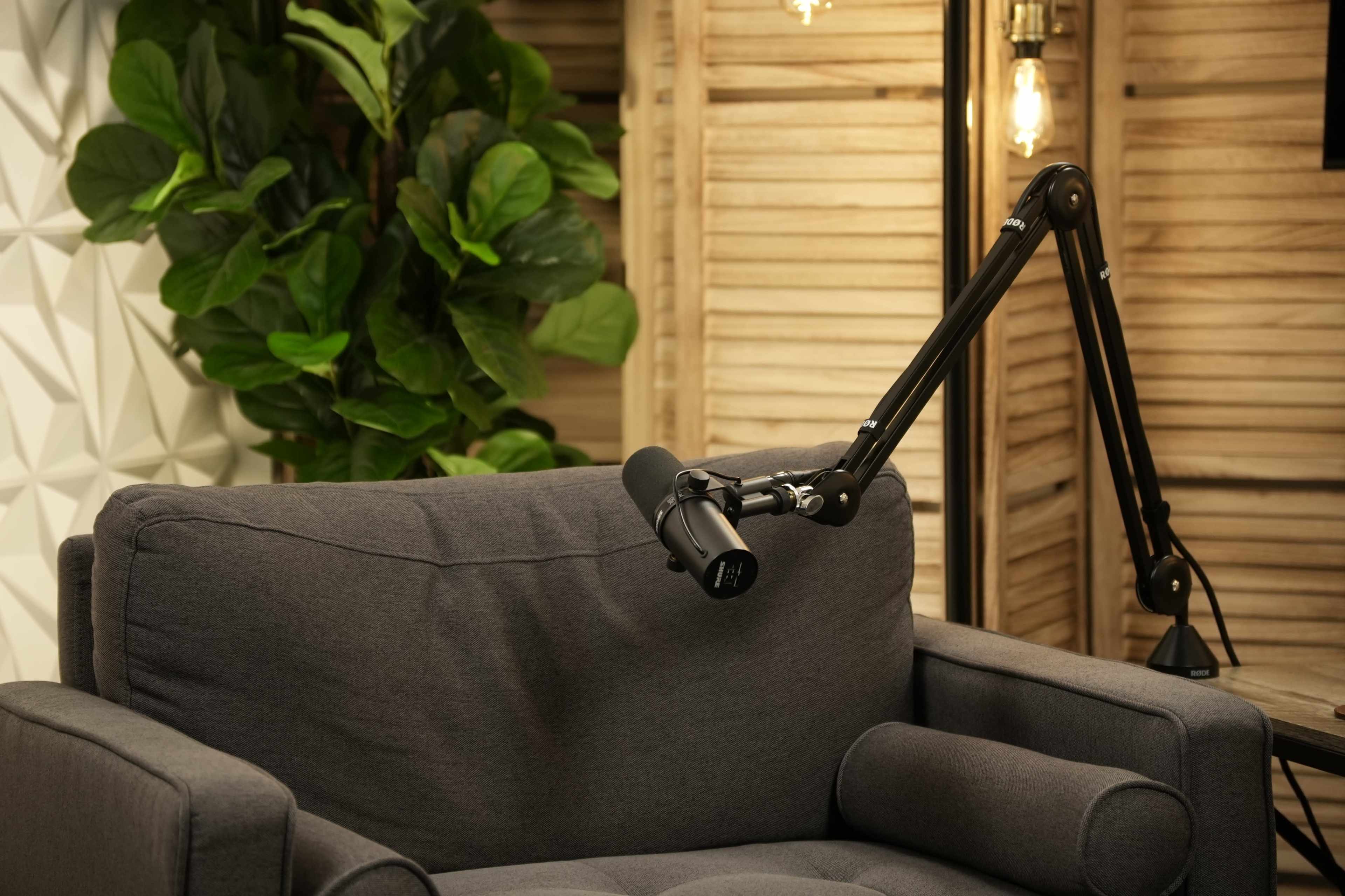 A microphone is mounted on a black adjustable arm next to a gray couch in a room with wooden paneling and green foliage.