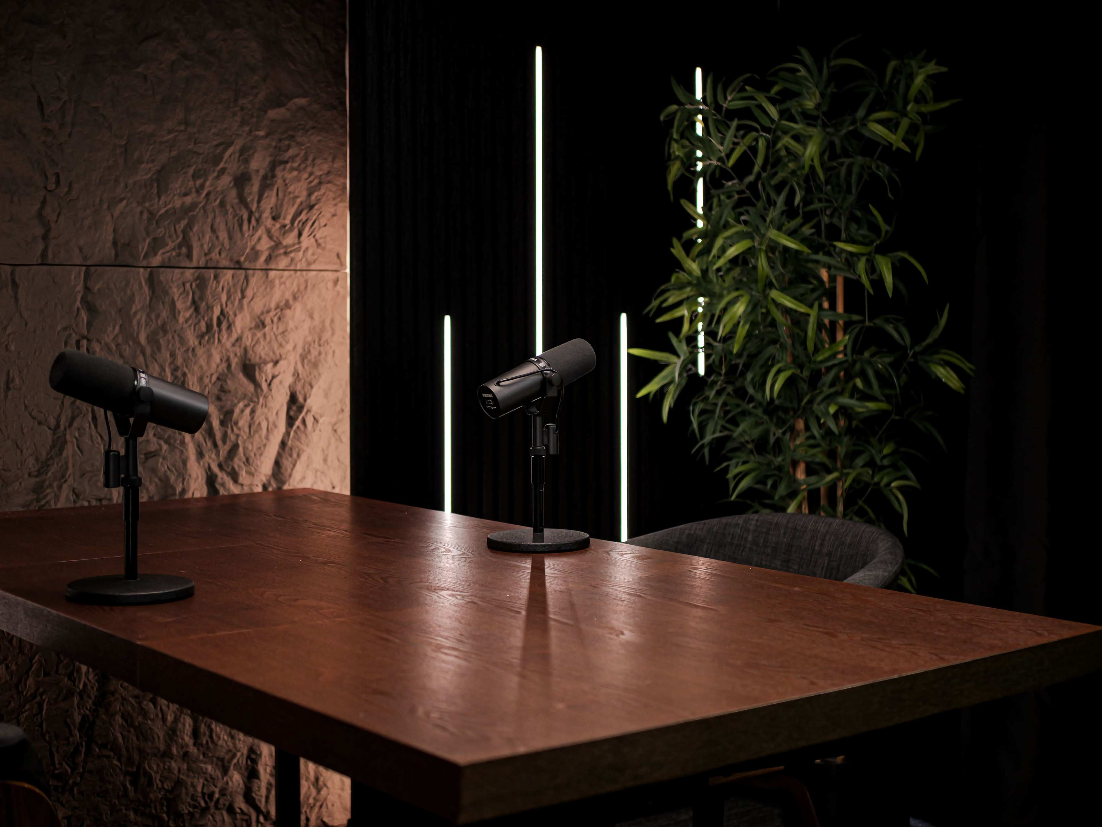 The image shows a wooden table in a studio setting with two microphones positioned on stands and a green plant in the background.