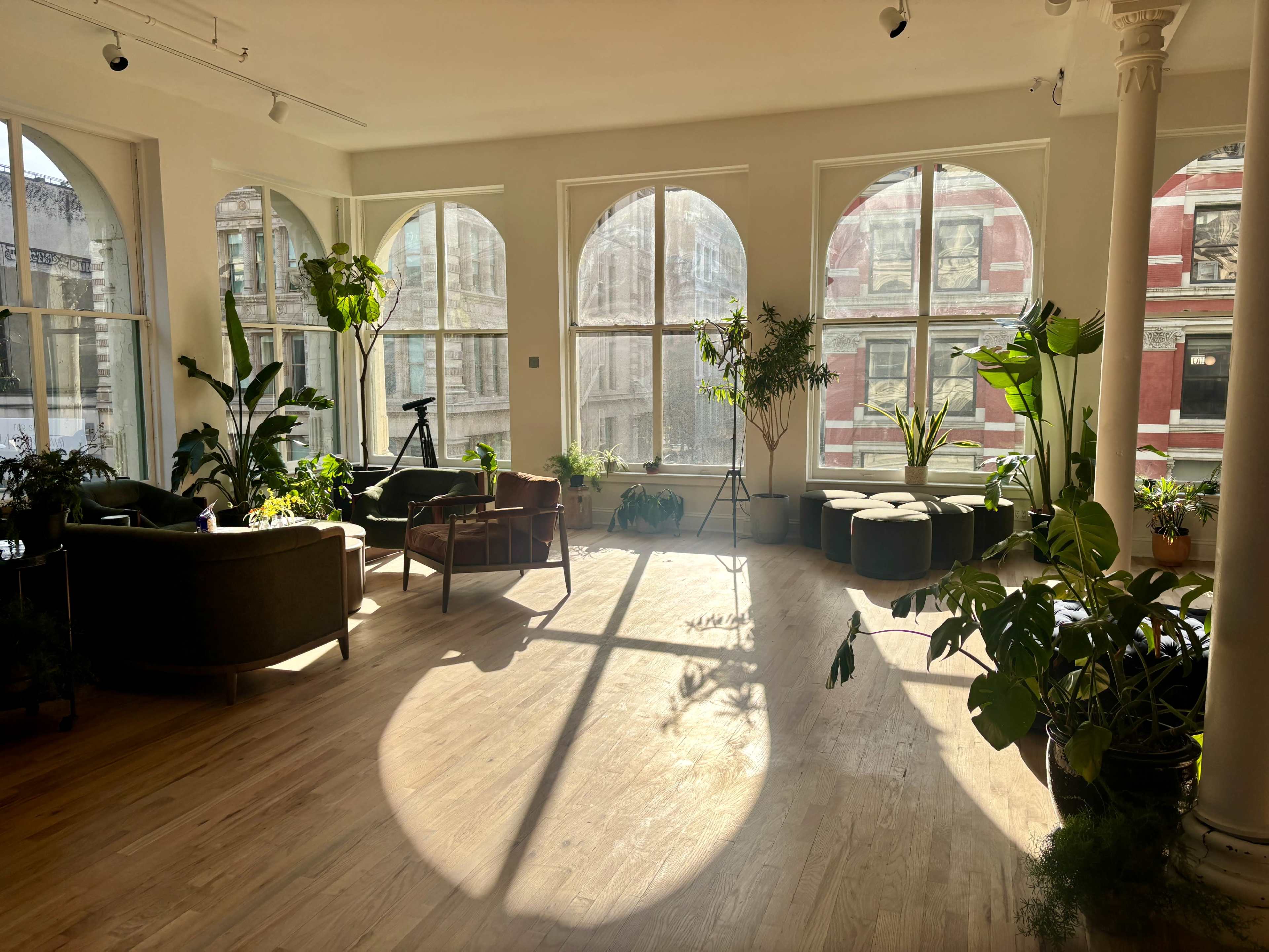 The image shows a bright, airy indoor space with large arched windows, featuring various plants, comfortable seating, and wooden flooring.