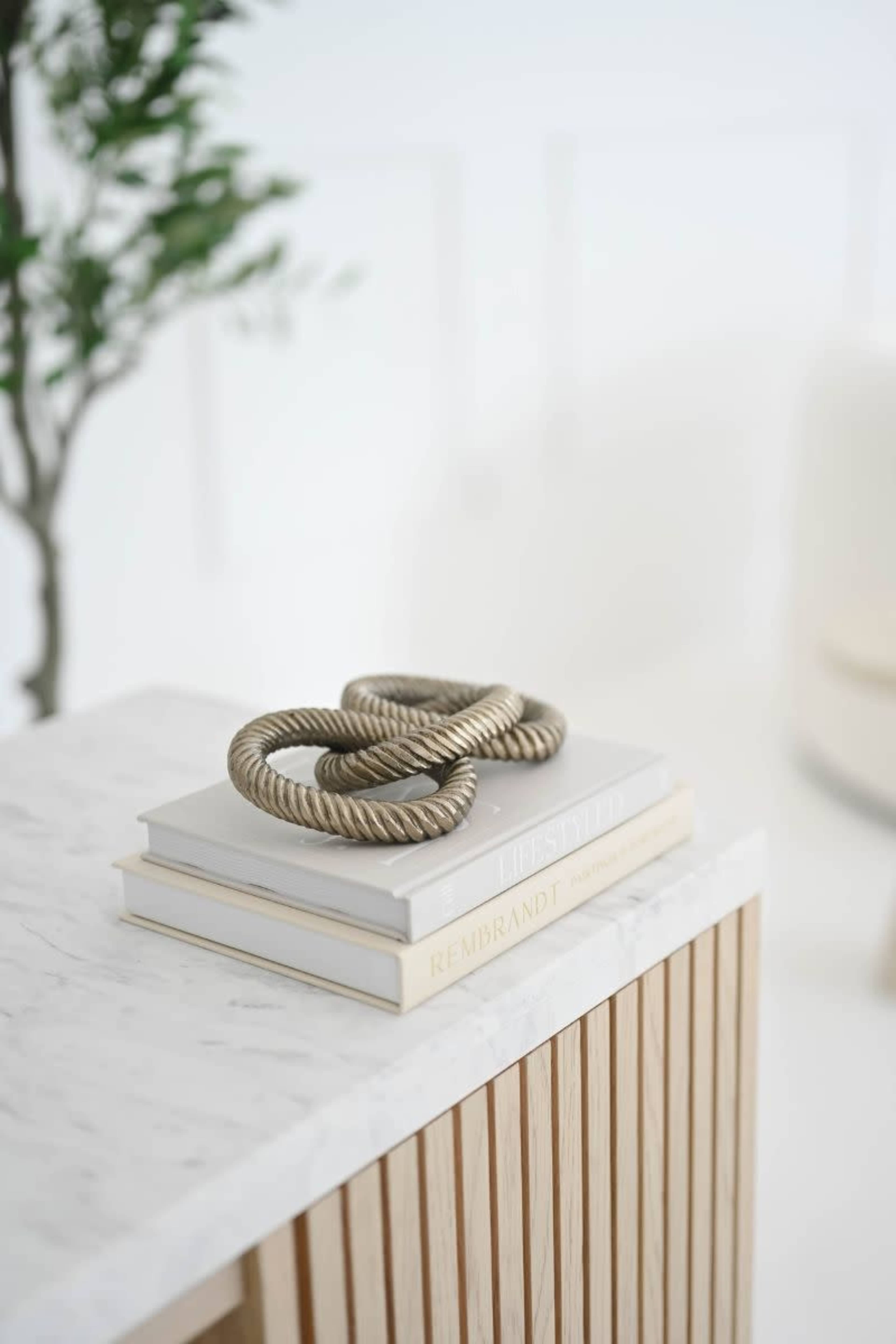 A decorative golden rope sculpture rests atop stacked books on a marble-topped surface.