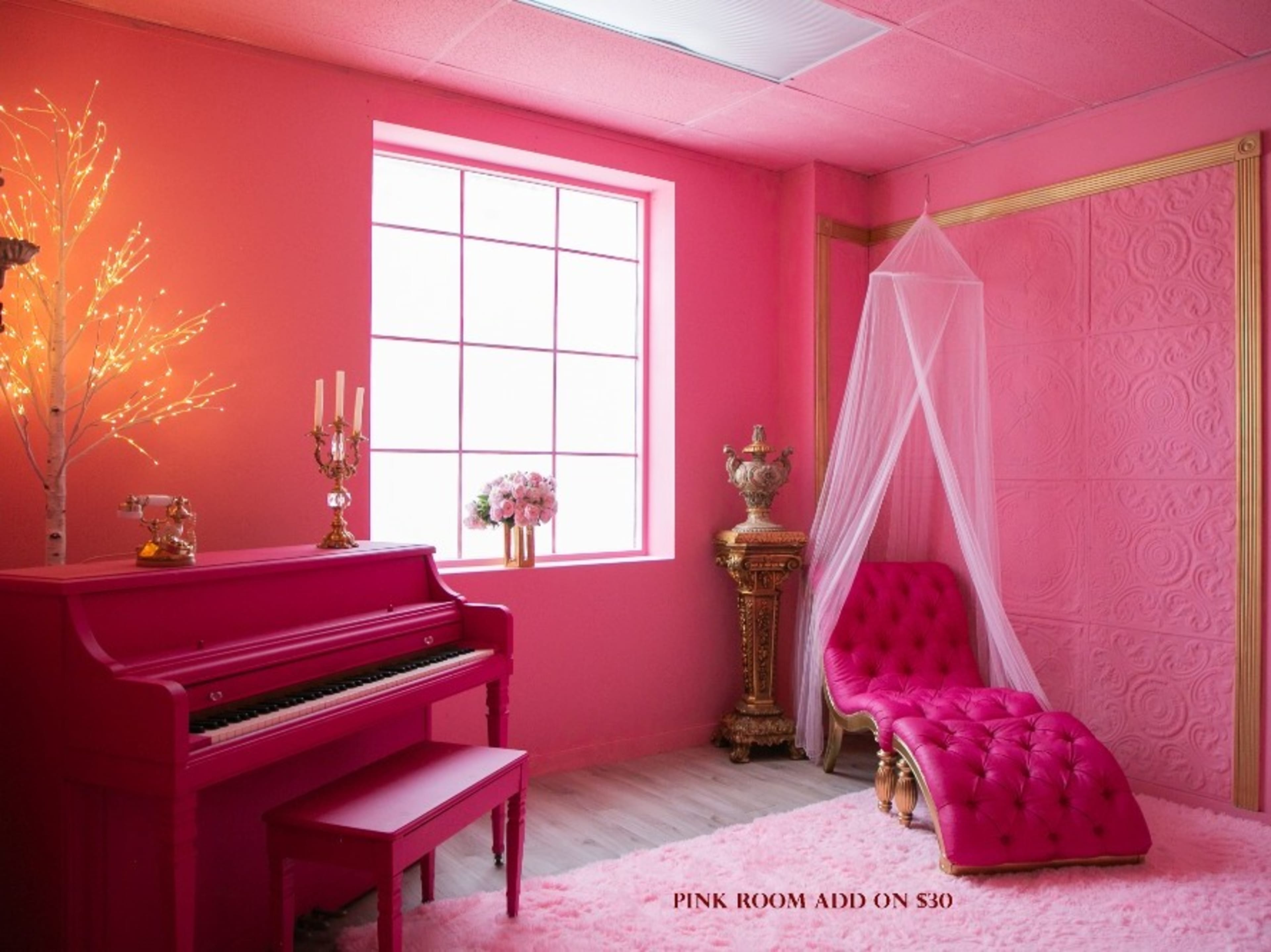 PINK ROOM