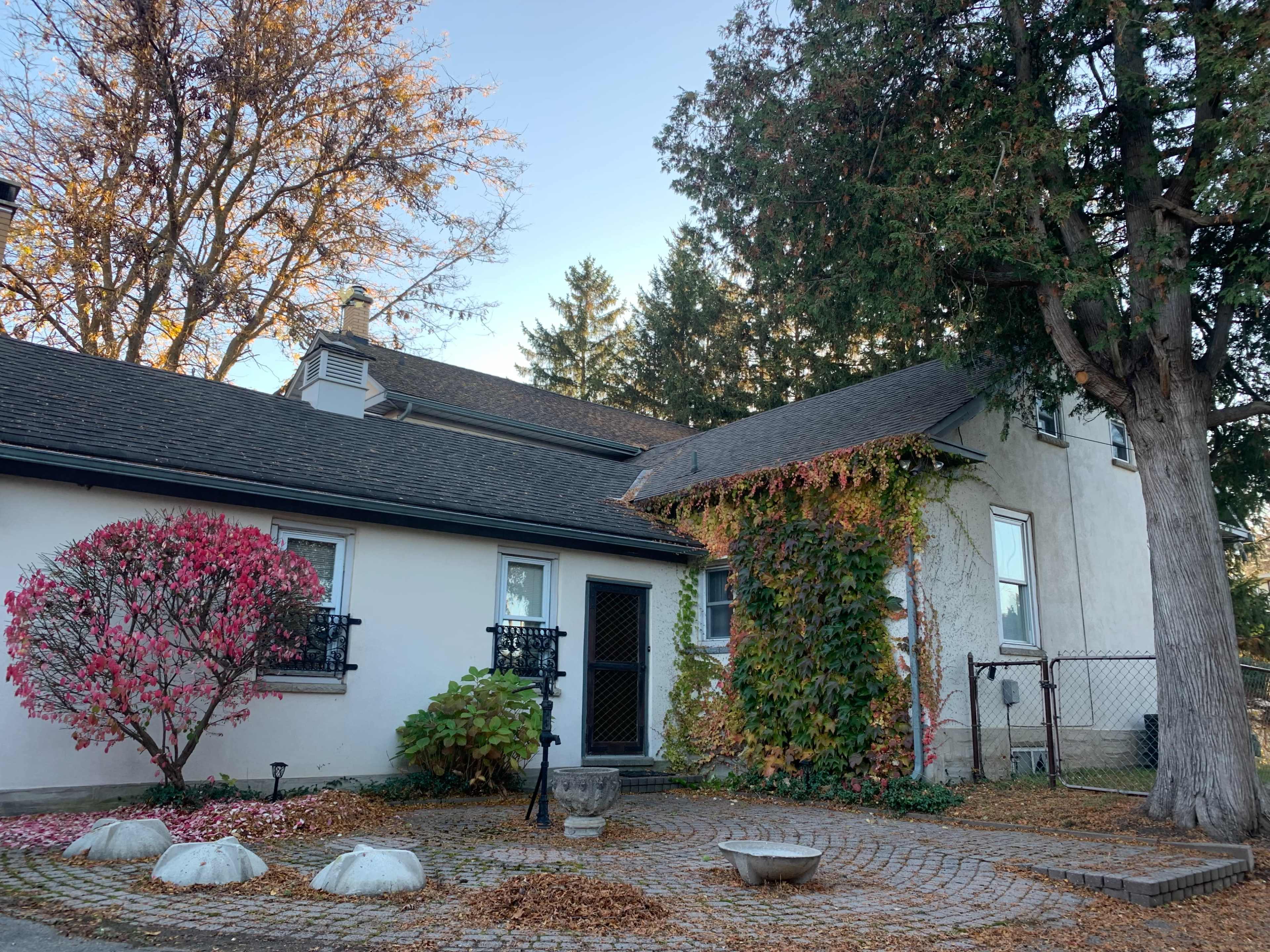 A house with a front garden featuring a pink shrub, a stone pathway, and ivy climbing up the walls amid fallen leaves.