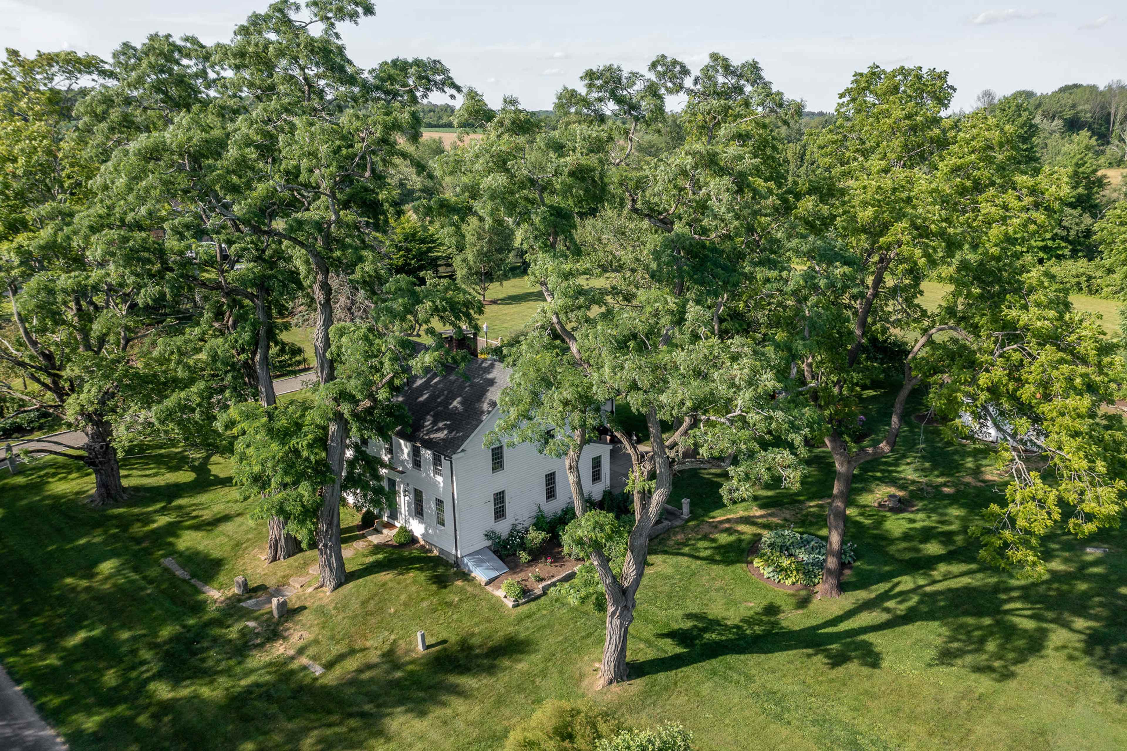 A white house is surrounded by large green trees in a grassy area.