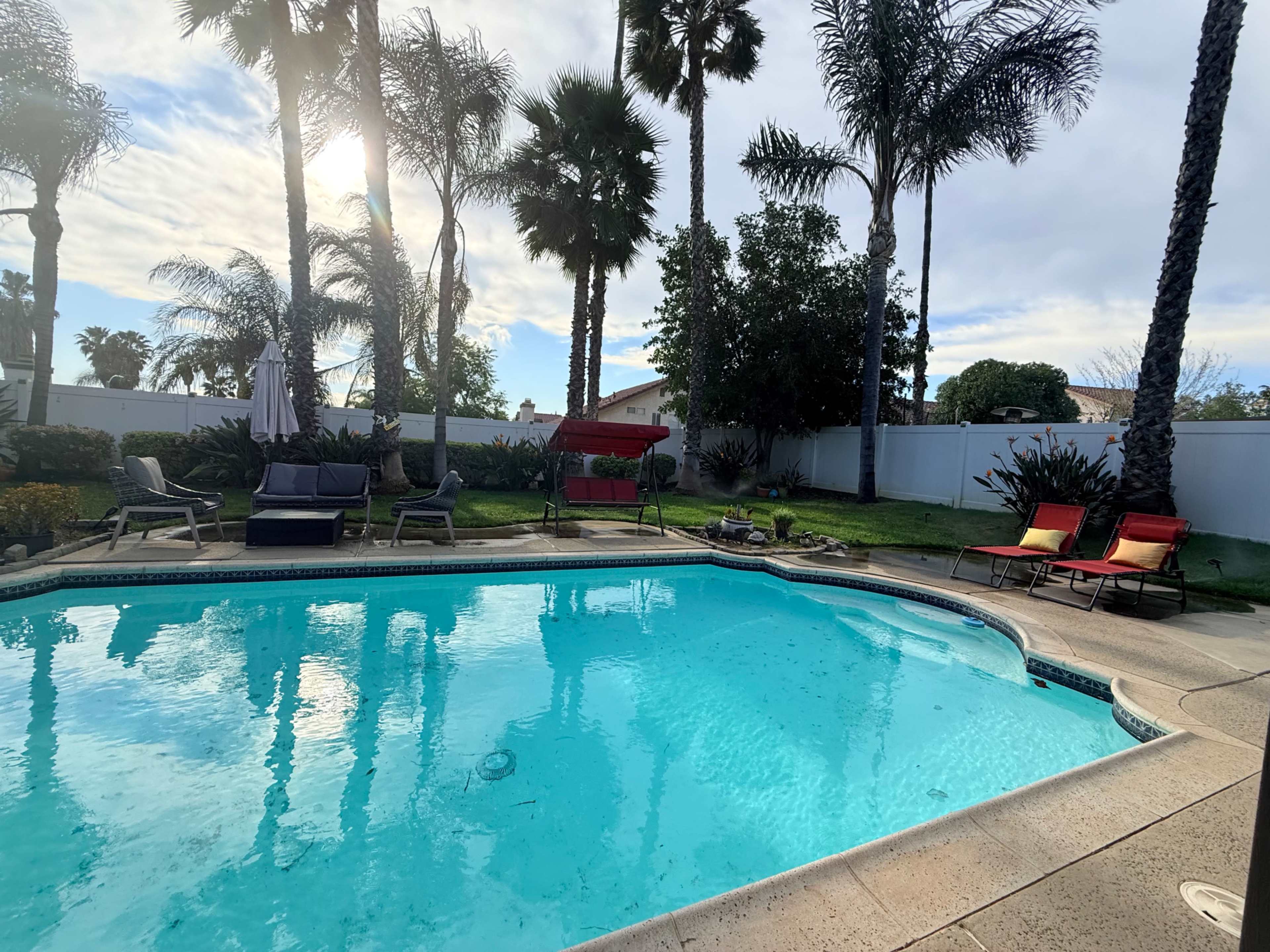 The image shows a backyard swimming pool surrounded by palm trees and lounge chairs under a partly cloudy sky.