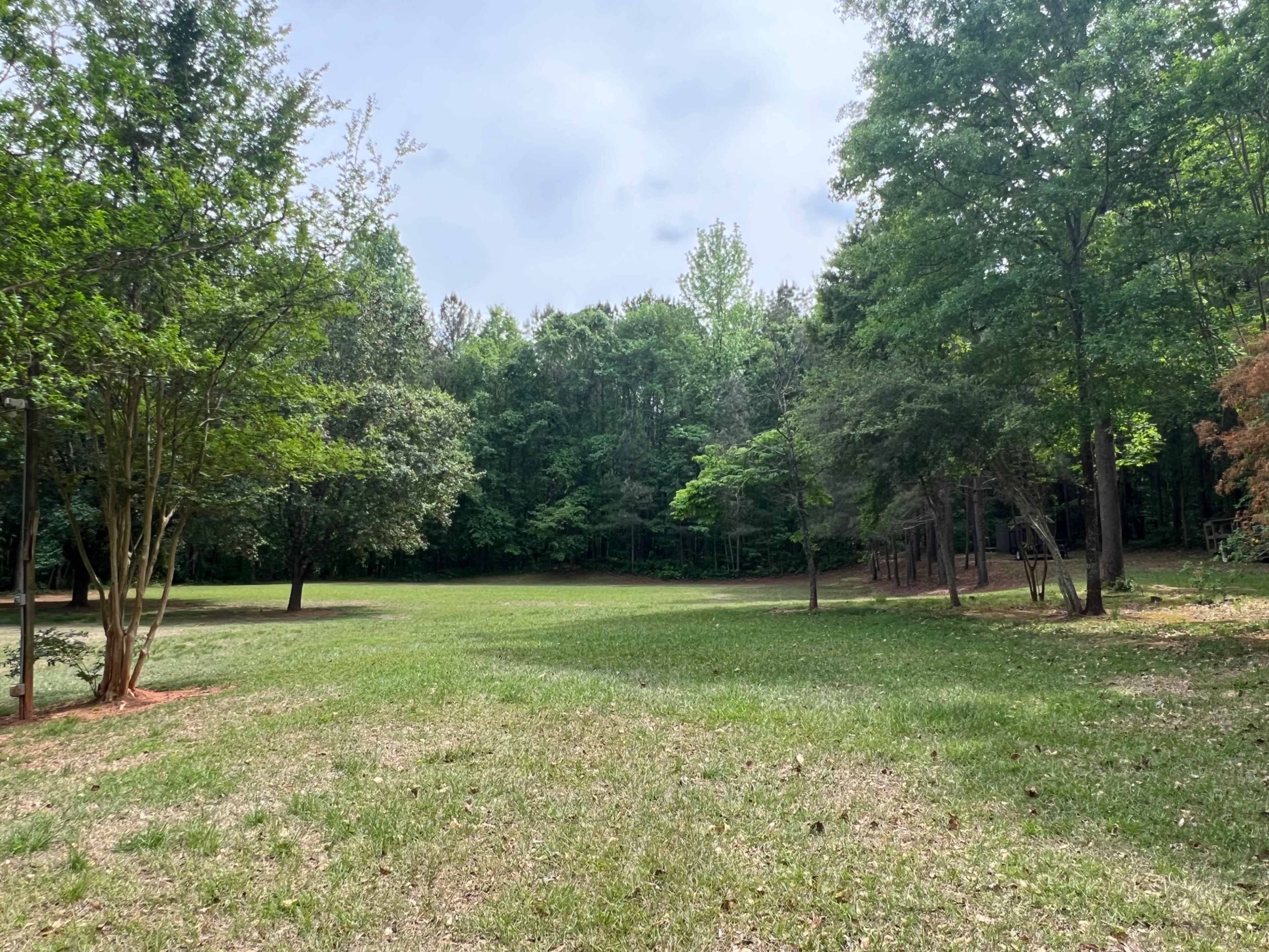 The image shows an open grassy area surrounded by trees and a wooded background.