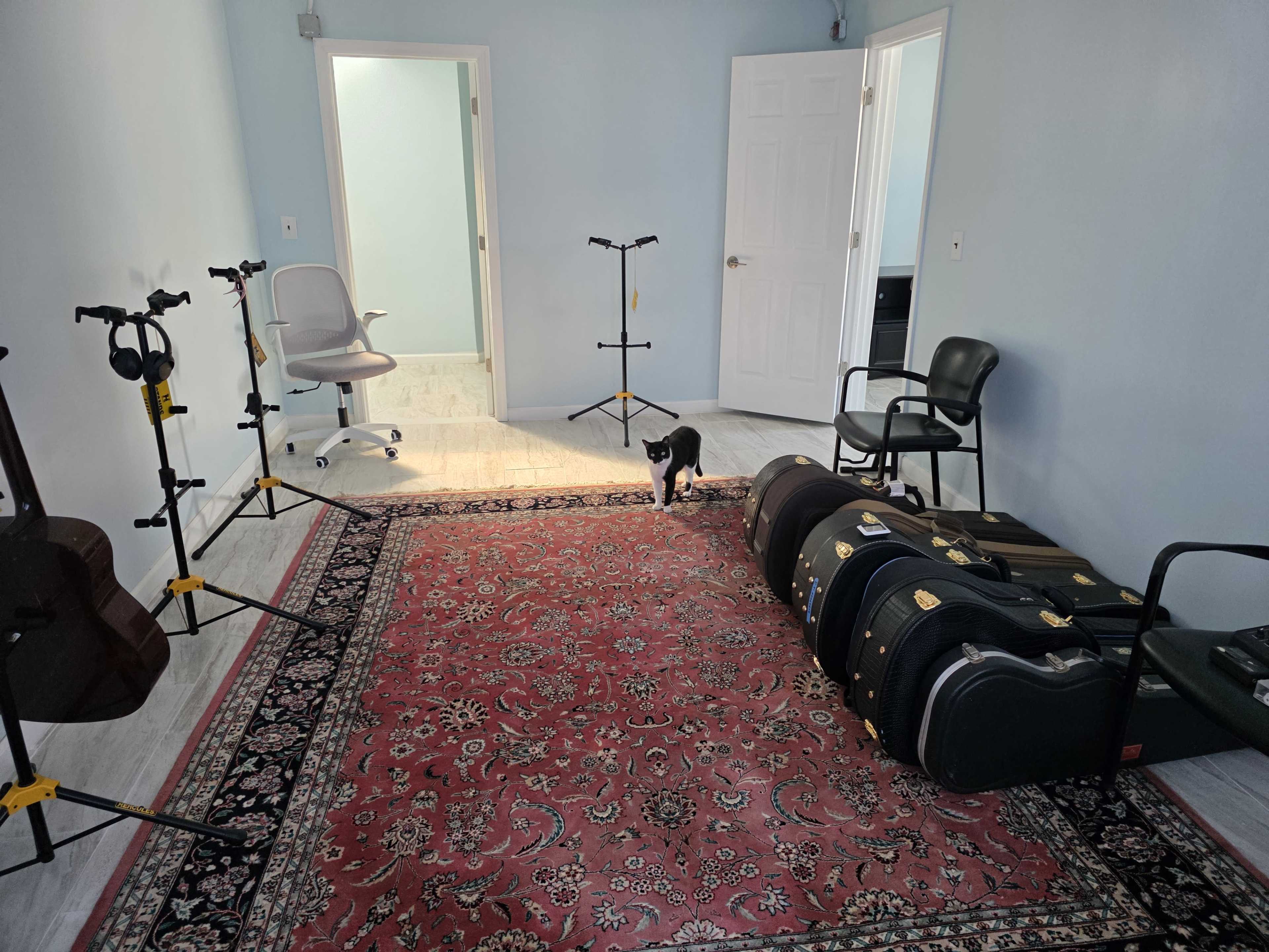 The image shows a spacious room with a red area rug, a black and white cat, multiple guitar stands, and several musical instrument cases, along with a chair and an open door.