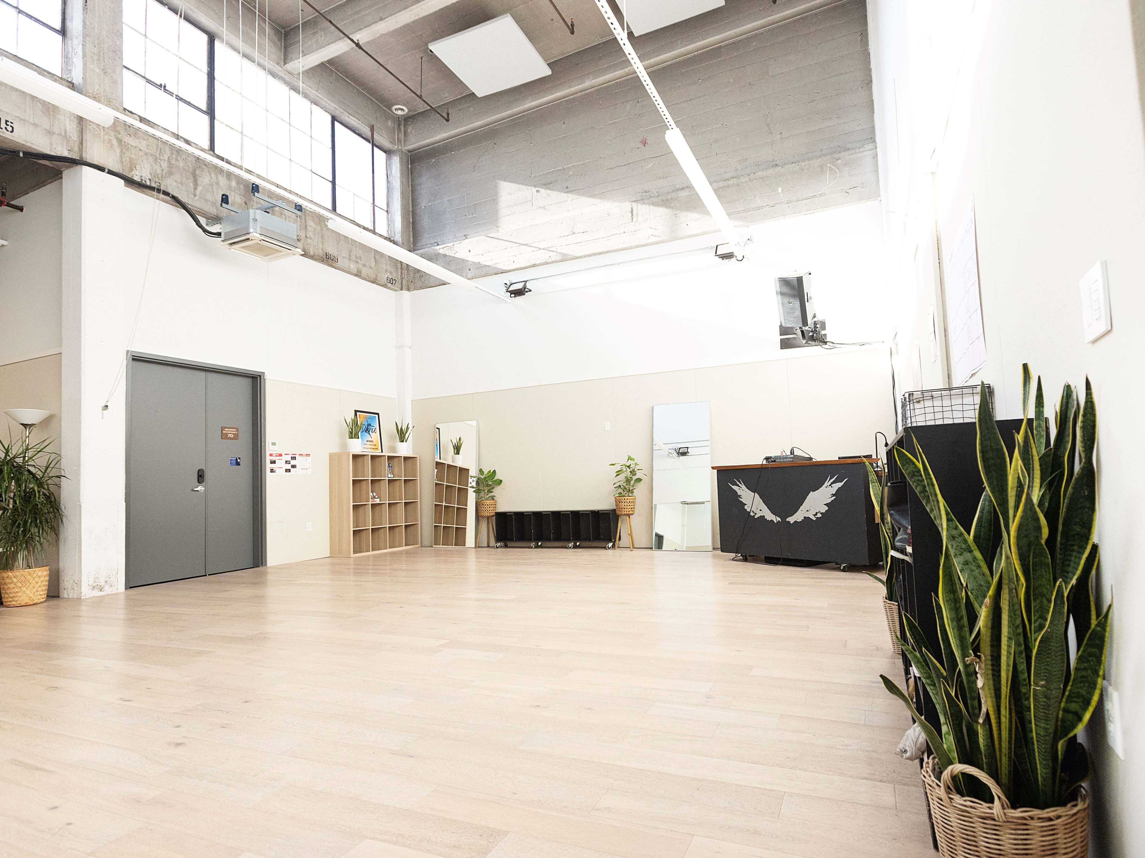 An empty studio space with wooden flooring, a front desk, shelves, and plants along the walls.