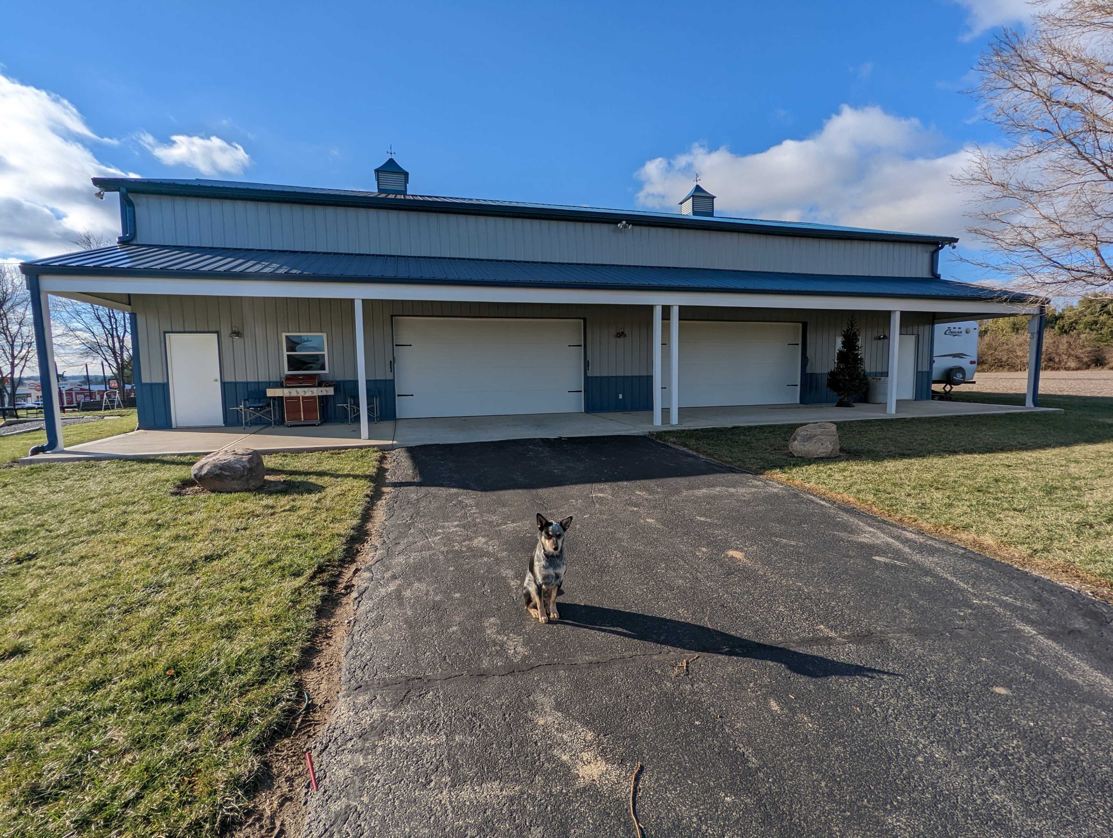 A dog stands on a blacktop driveway in front of a large metal building with two garage doors and a porch.