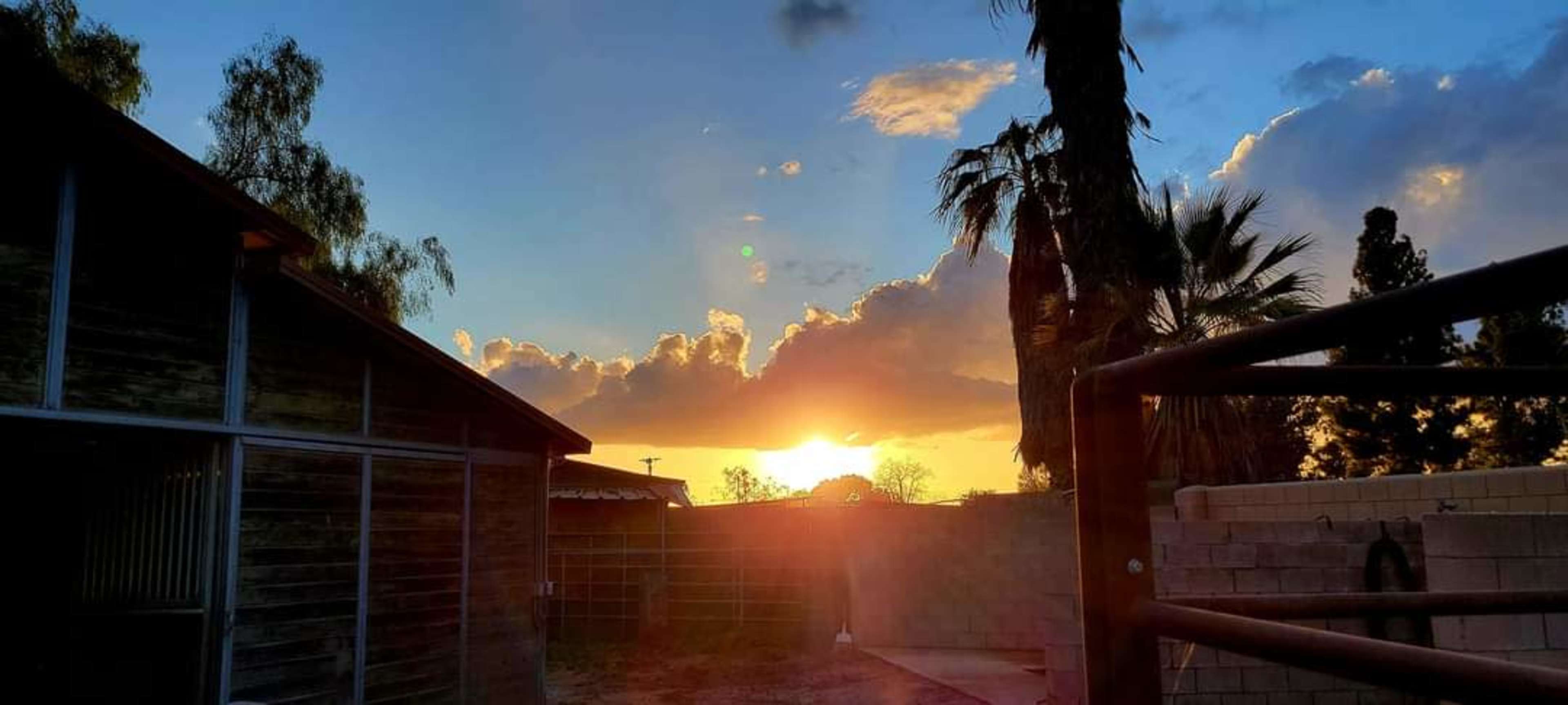 The sun sets behind a row of palm trees and a wooden structure, casting an orange glow against the clouds.