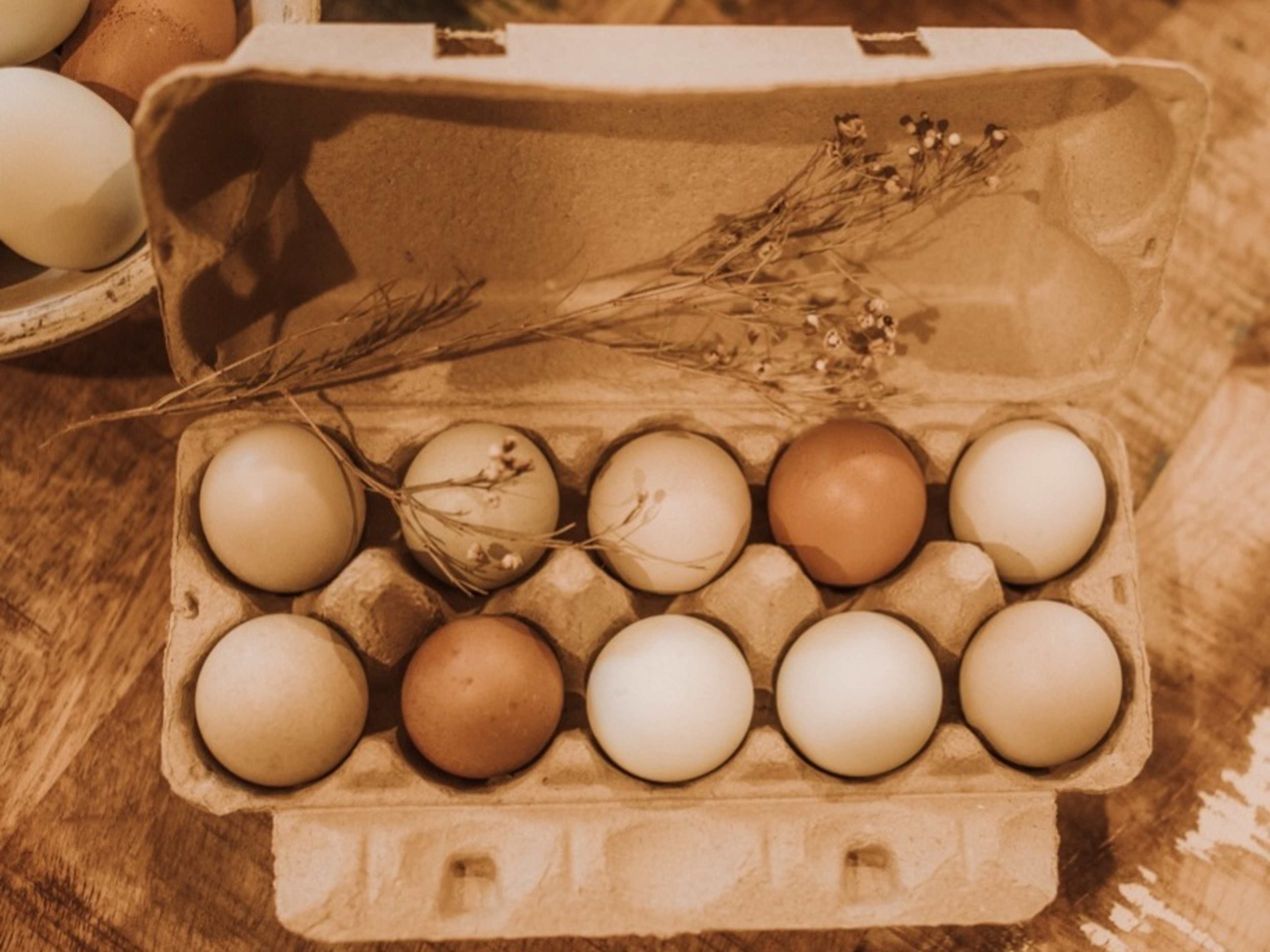 Farm Fresh Eggs