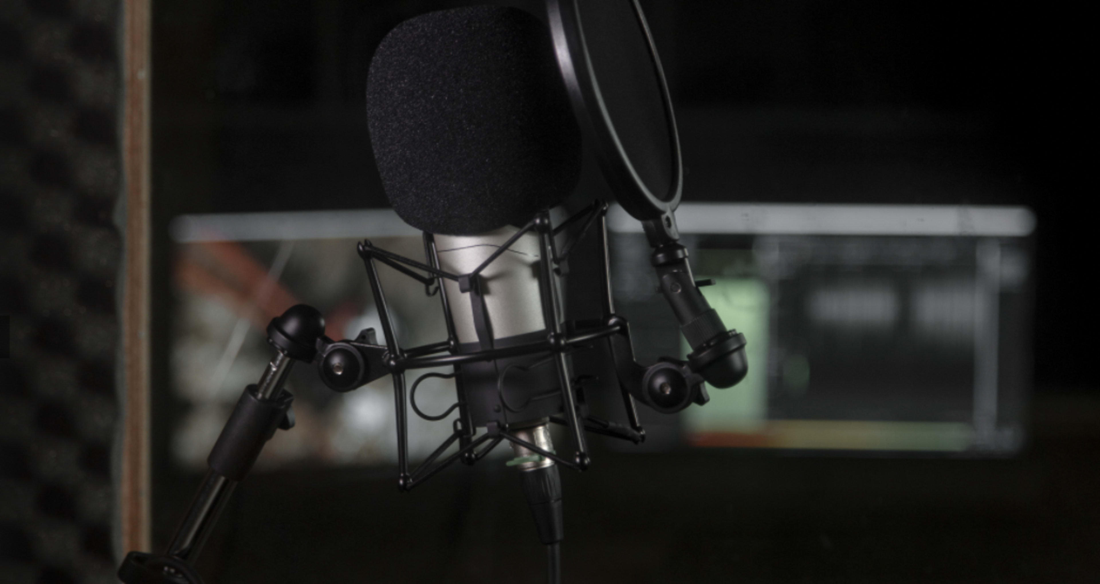A microphone is mounted on a stand with a pop filter in a recording studio environment.
