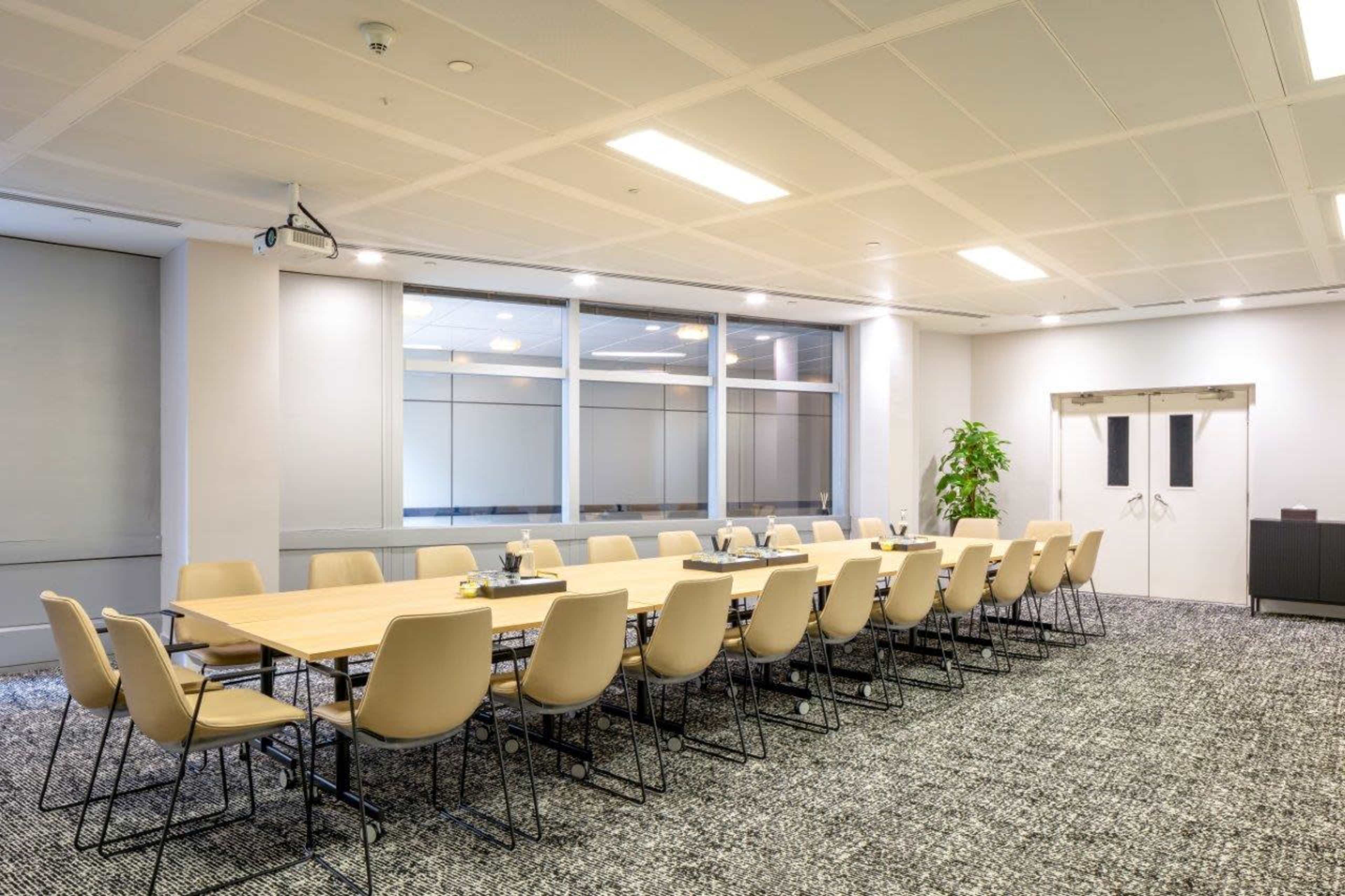 A long conference table is set with chairs in a modern meeting room featuring large windows and a green plant.