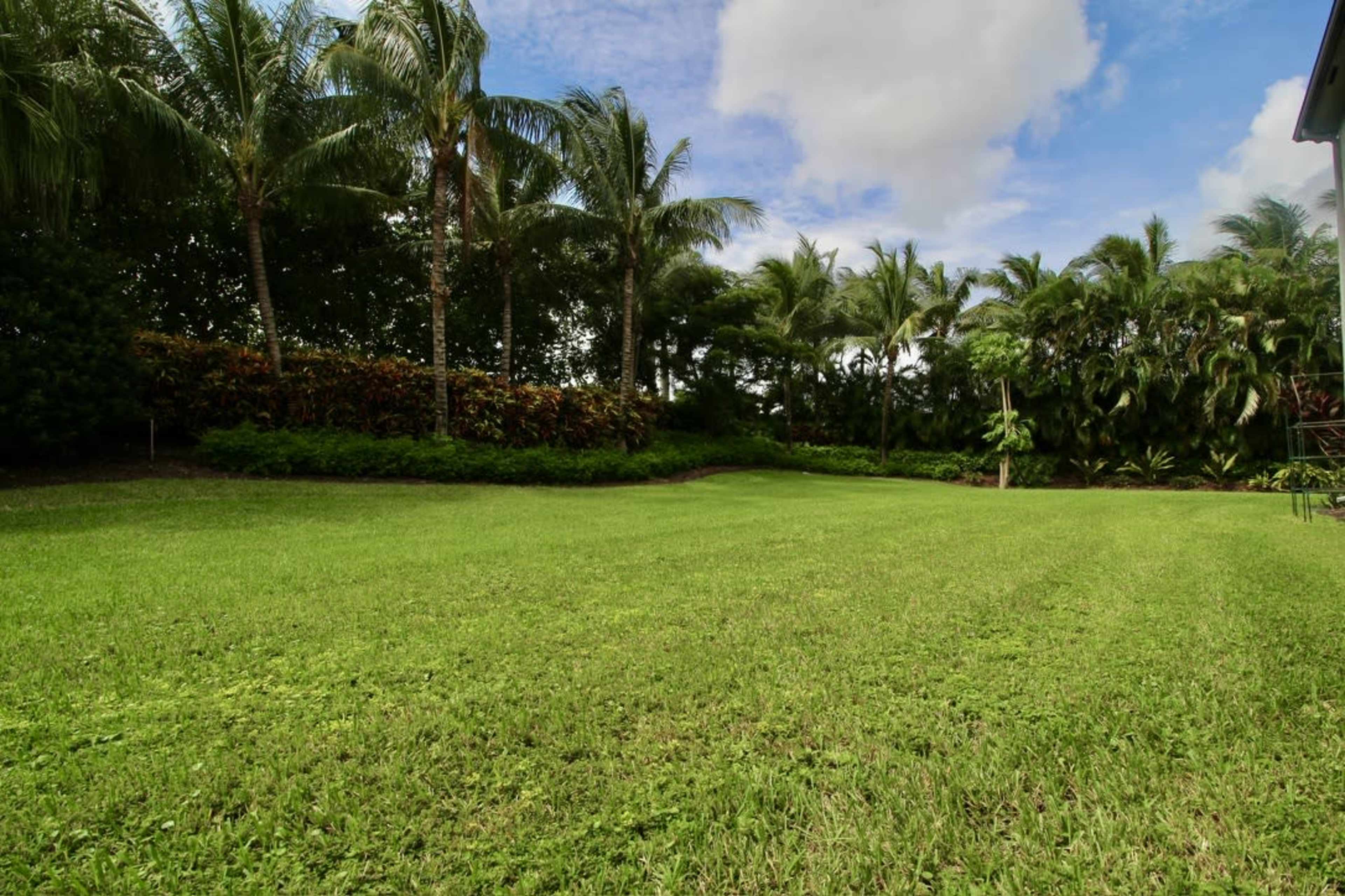 A wide, grassy lawn is surrounded by palm trees and lush vegetation under a partly cloudy sky.