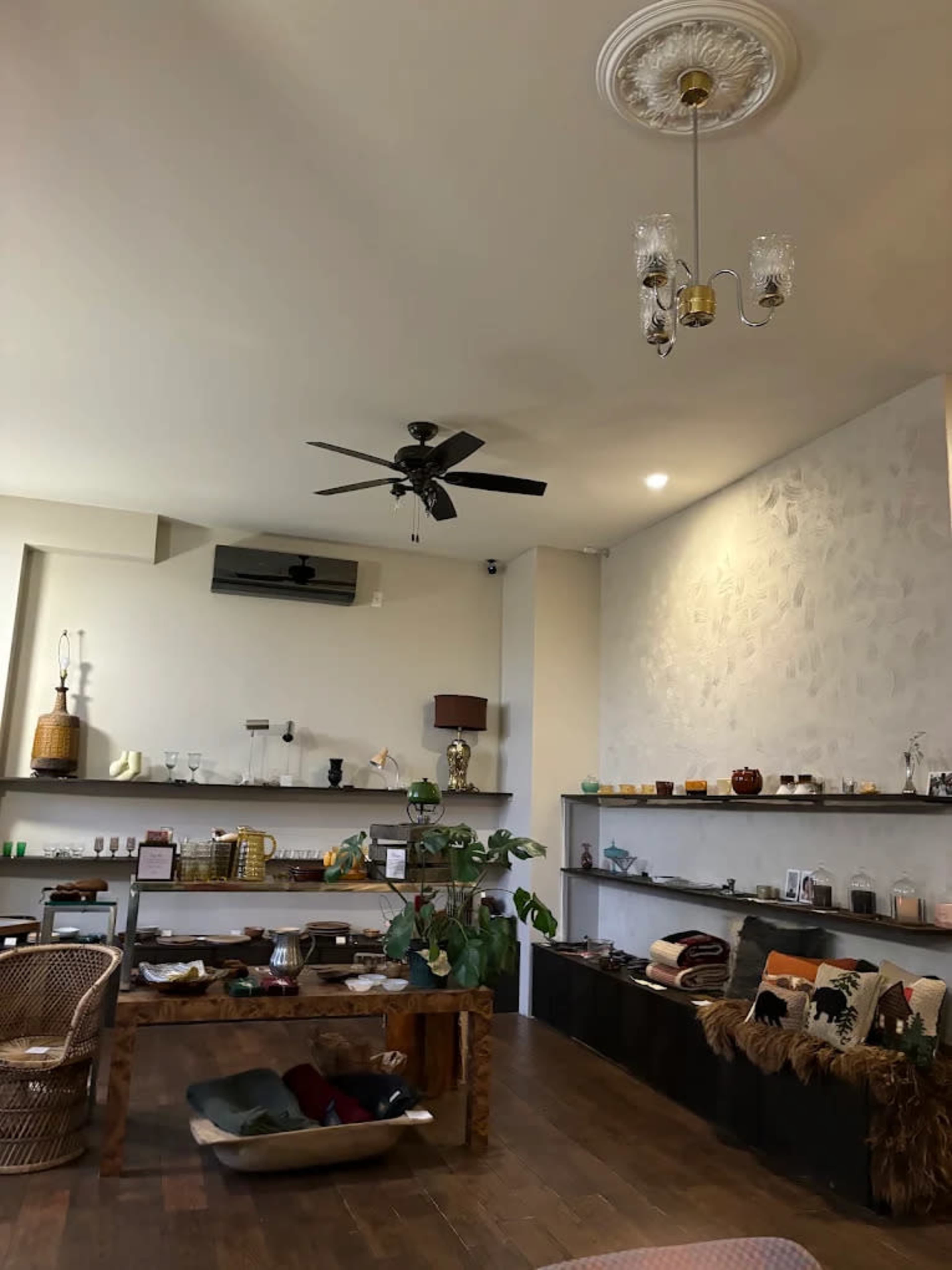 The image shows a cozy interior of a store with shelves displaying various decorative items and plants along with a ceiling fan and light fixture.