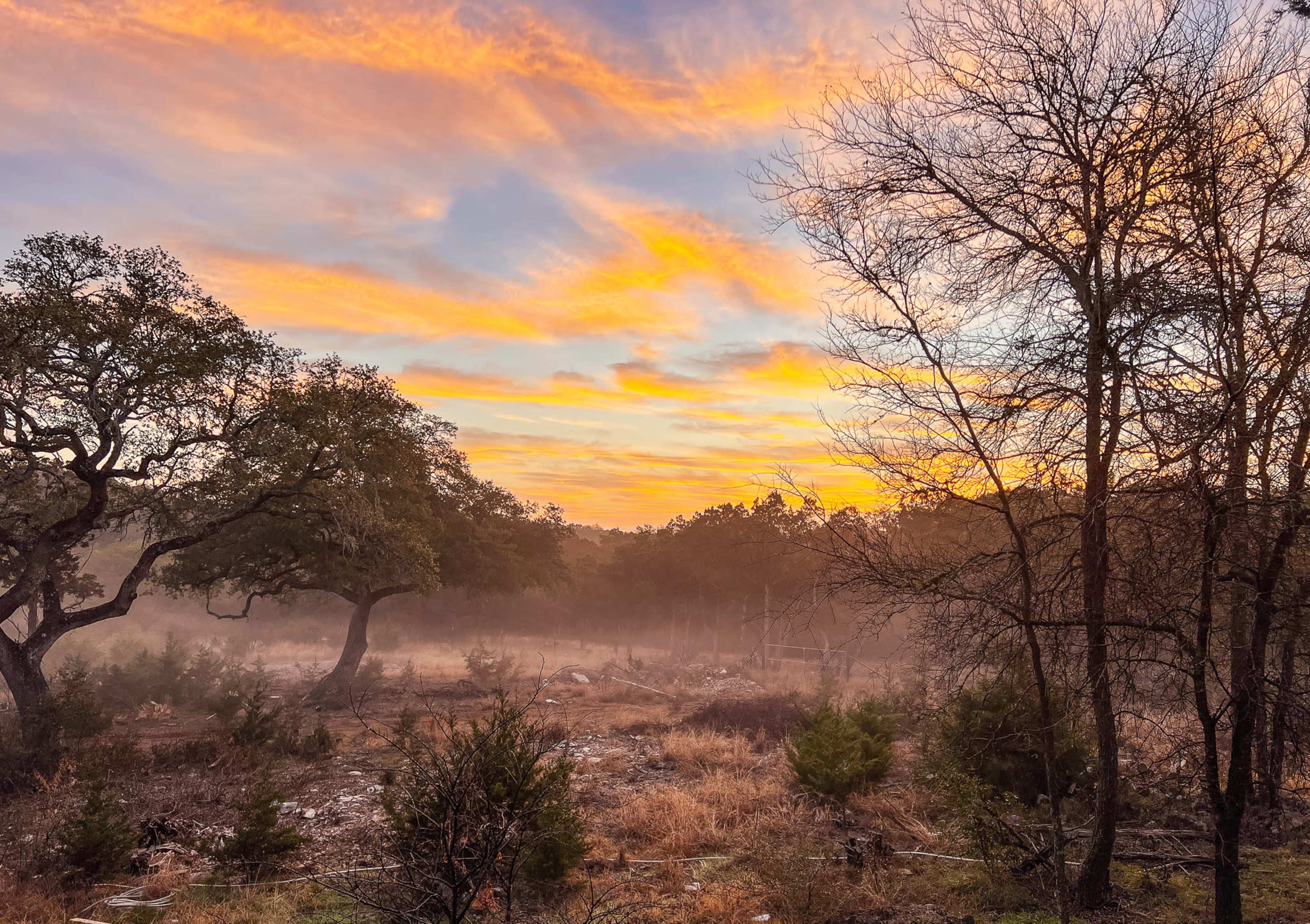 The scene depicts a misty landscape at sunrise, with silhouetted trees and a colorful sky filled with clouds.