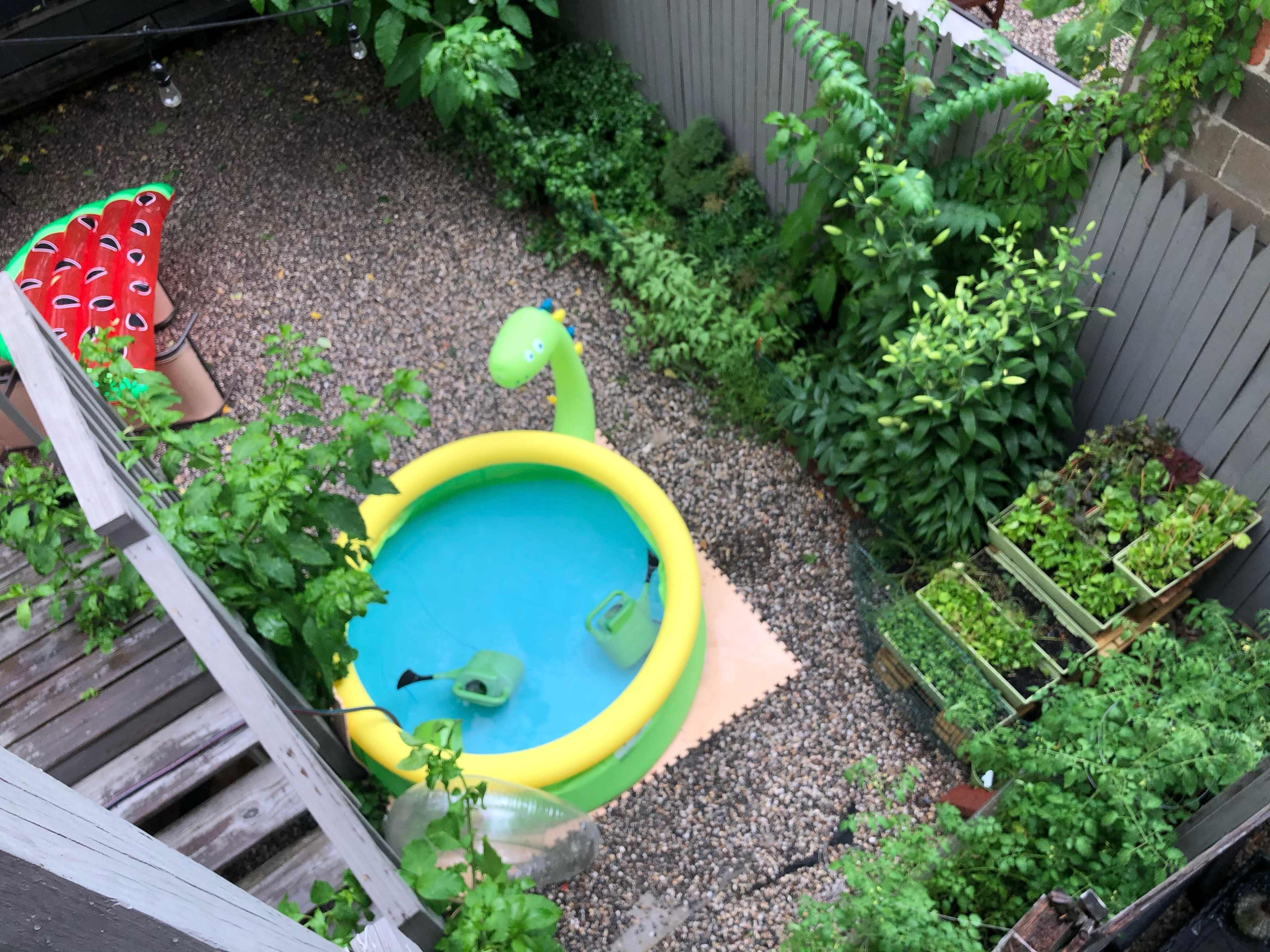 A colorful inflatable pool shaped like a dinosaur sits in a small, lush garden surrounded by greenery and potted plants.
