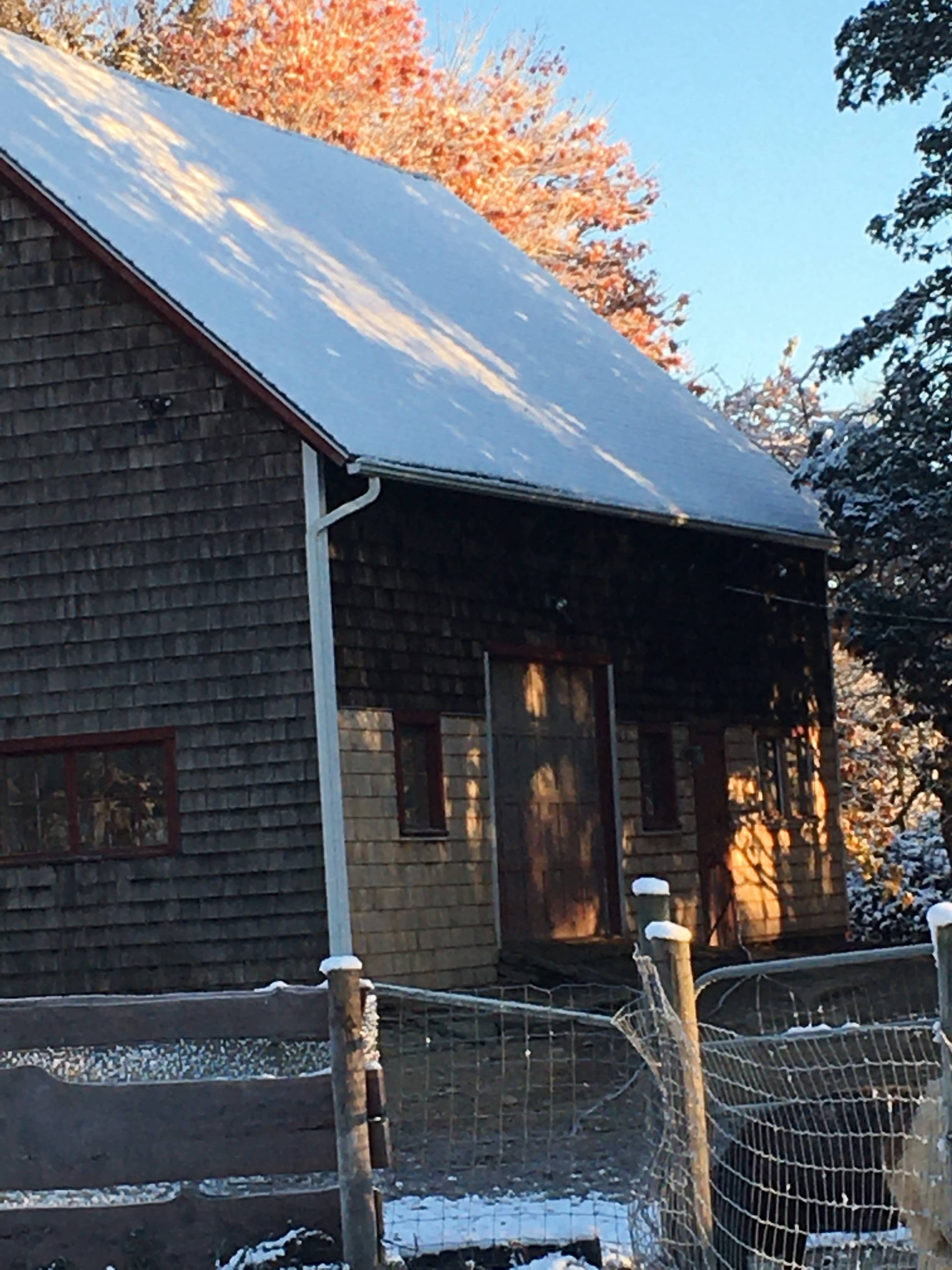 A wooden barn is partially covered in snow, with autumn leaves visible in the background.
