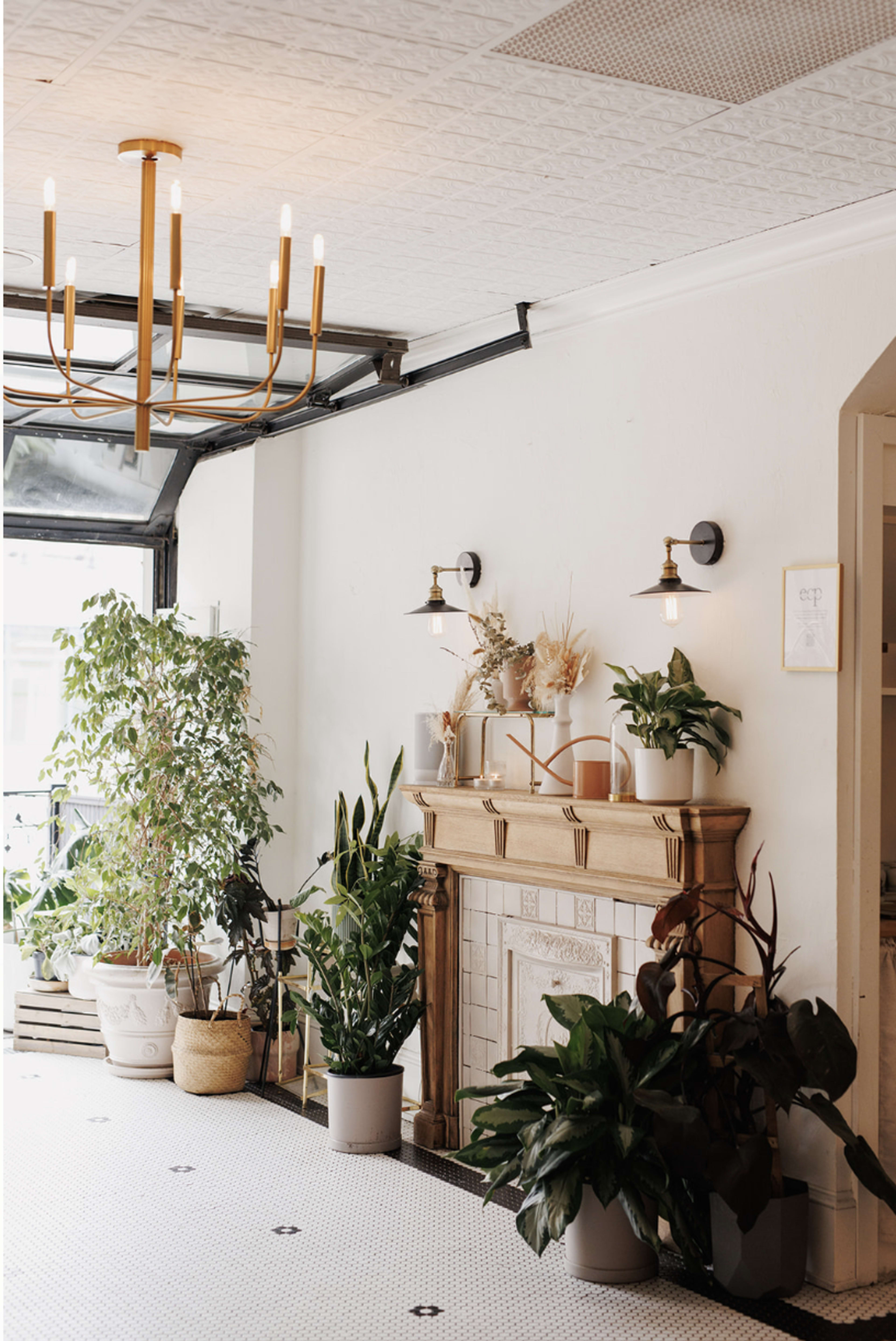 A well-lit room featuring a gold chandelier, a decorative fireplace with plants on it, and various green plants in pots arranged around the space.