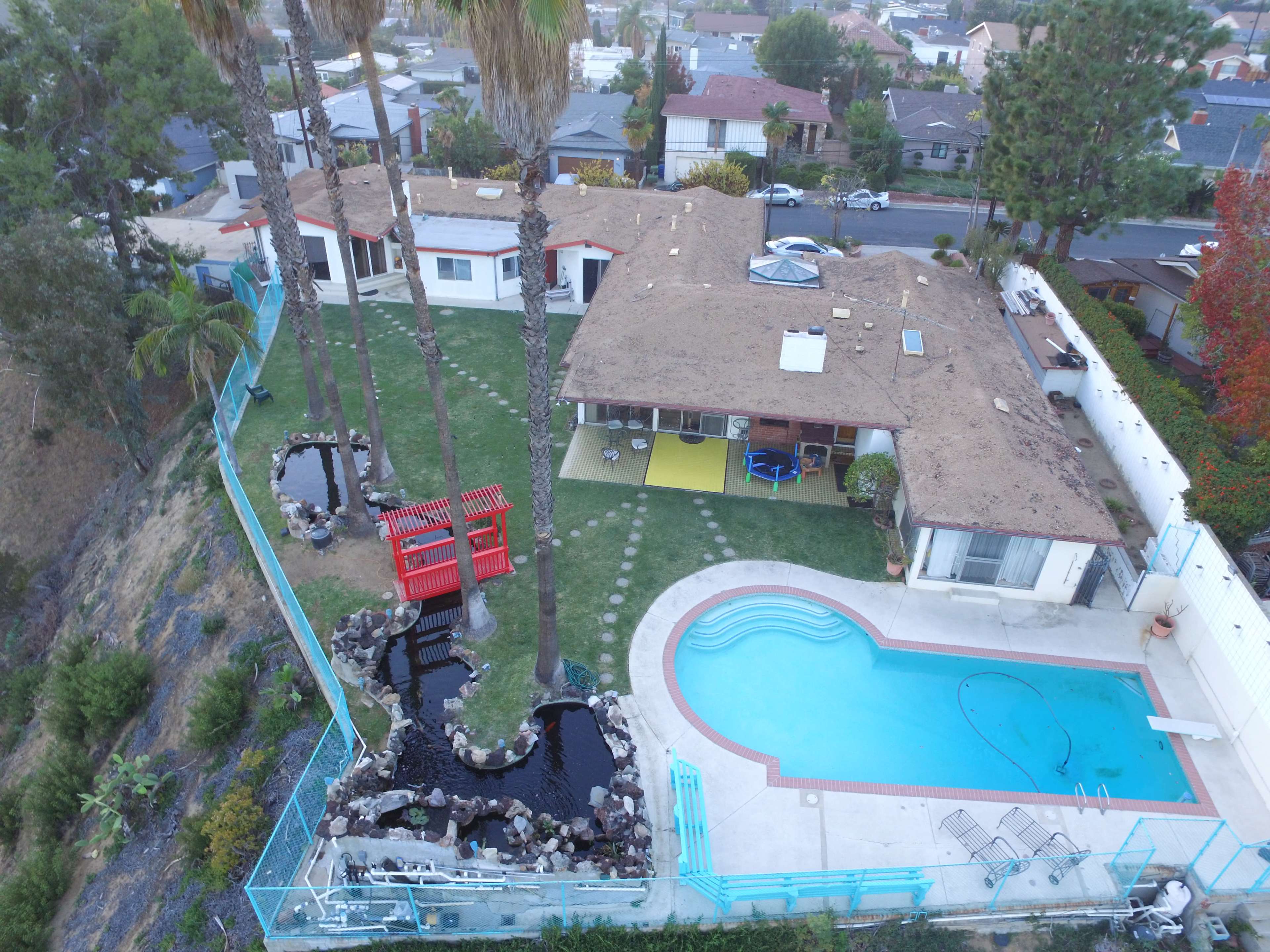 A single-story house with a swimming pool, surrounded by palm trees and landscaped gardens, located in a neighborhood with other homes.