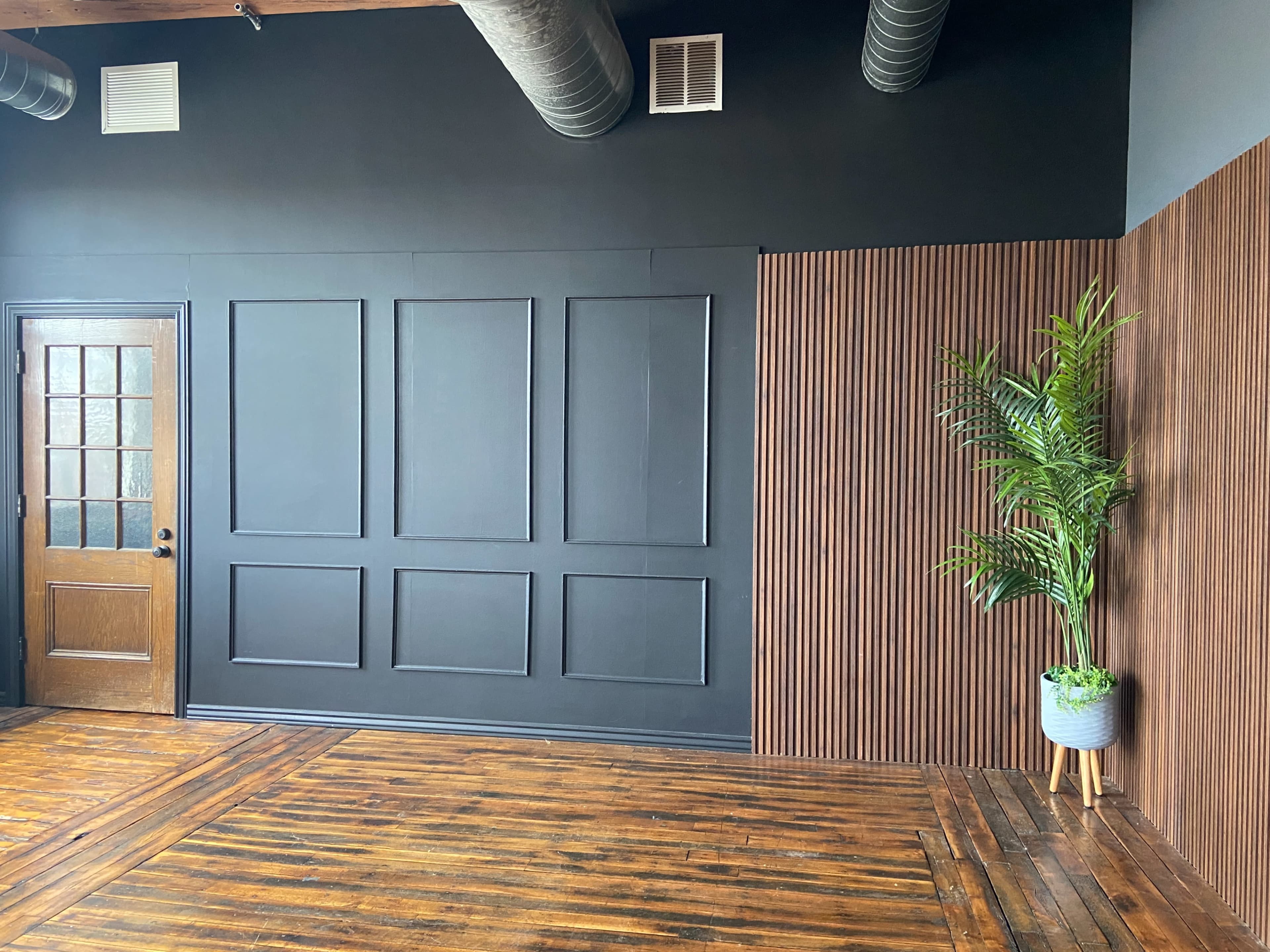A room with dark walls, a wooden floor, a door, and a potted plant in the corner.