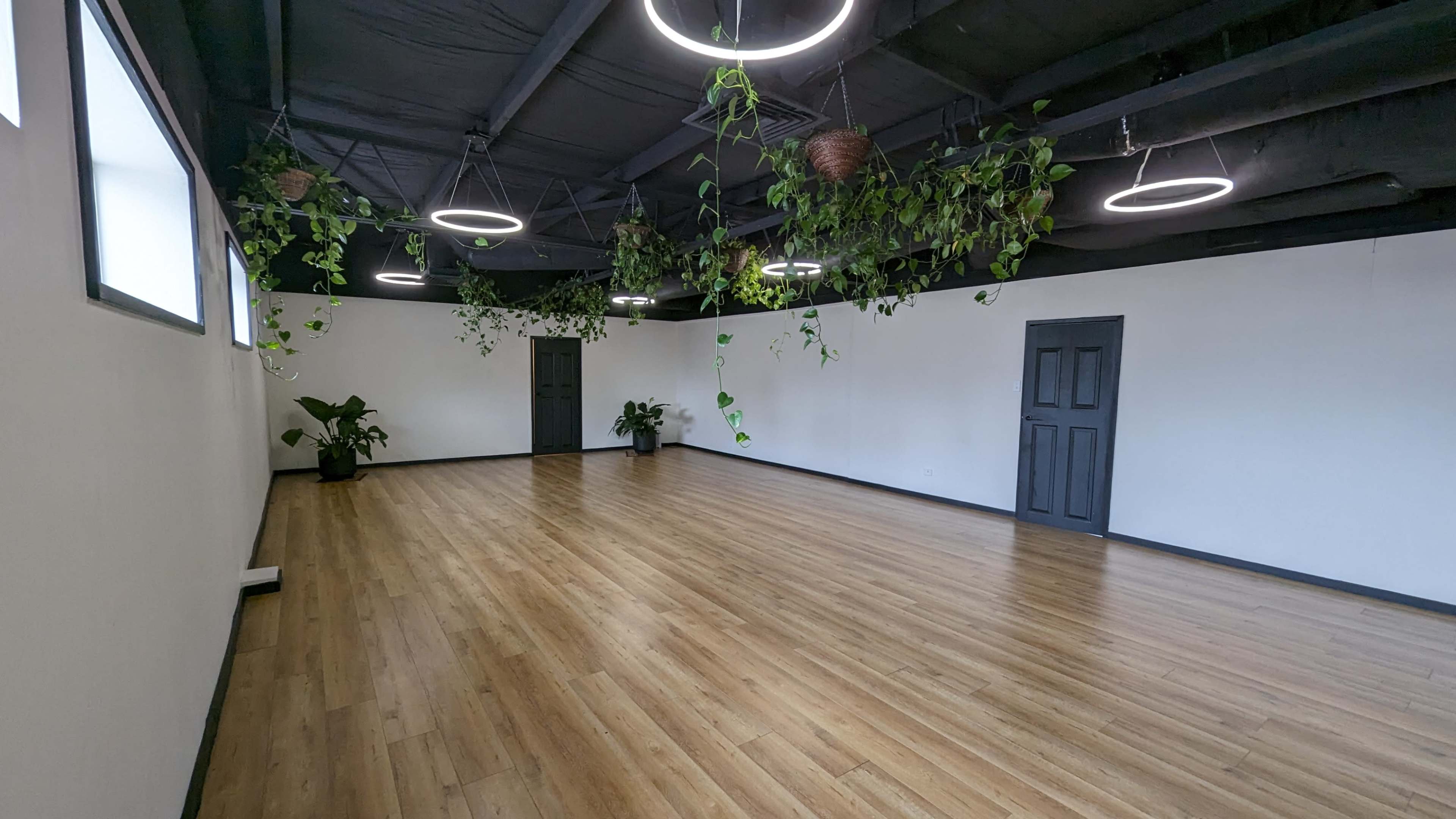 A spacious room with wooden flooring, minimal décor, and several hanging plants along with circular light fixtures from the ceiling.