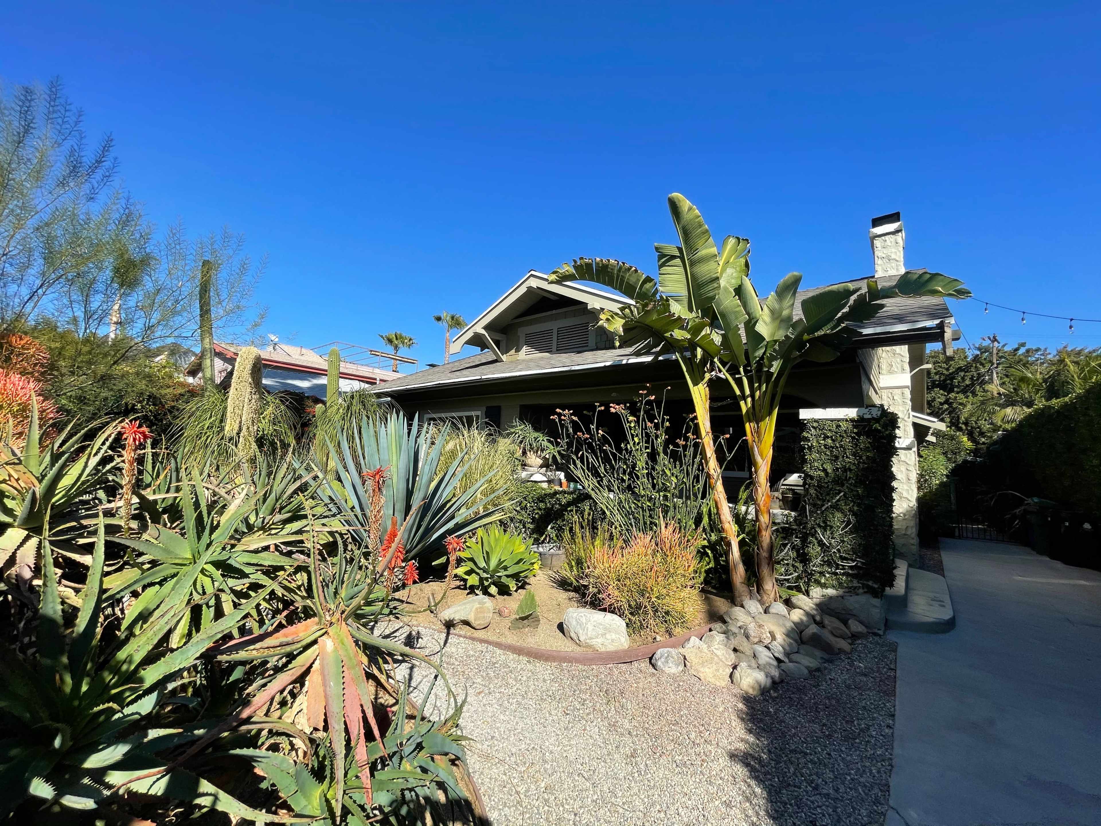 A landscaped yard with various plants surrounds a single-story house under a clear blue sky.