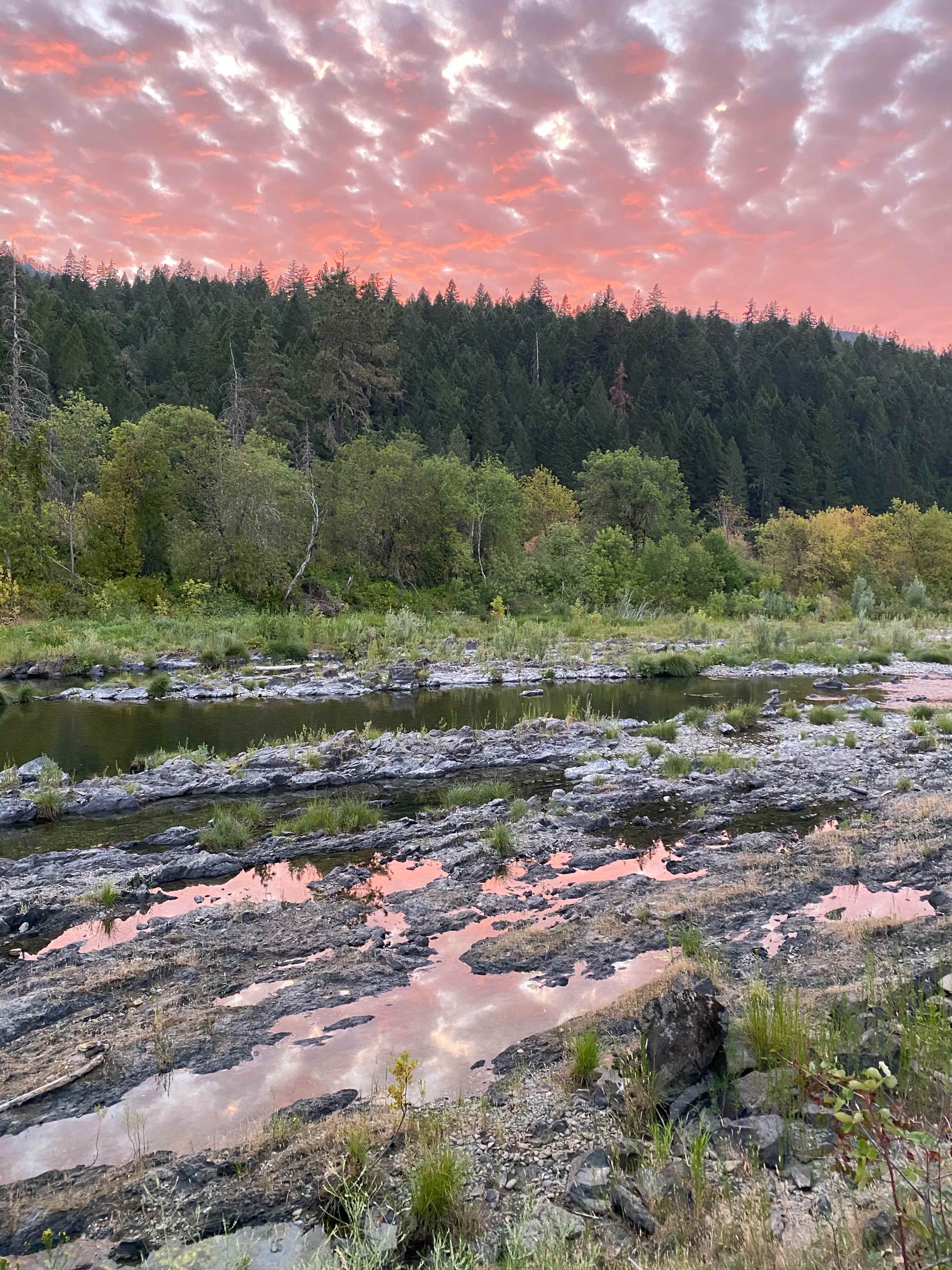 The scene shows a rocky riverbank reflecting a pink sky at sunset, surrounded by dense green forests.