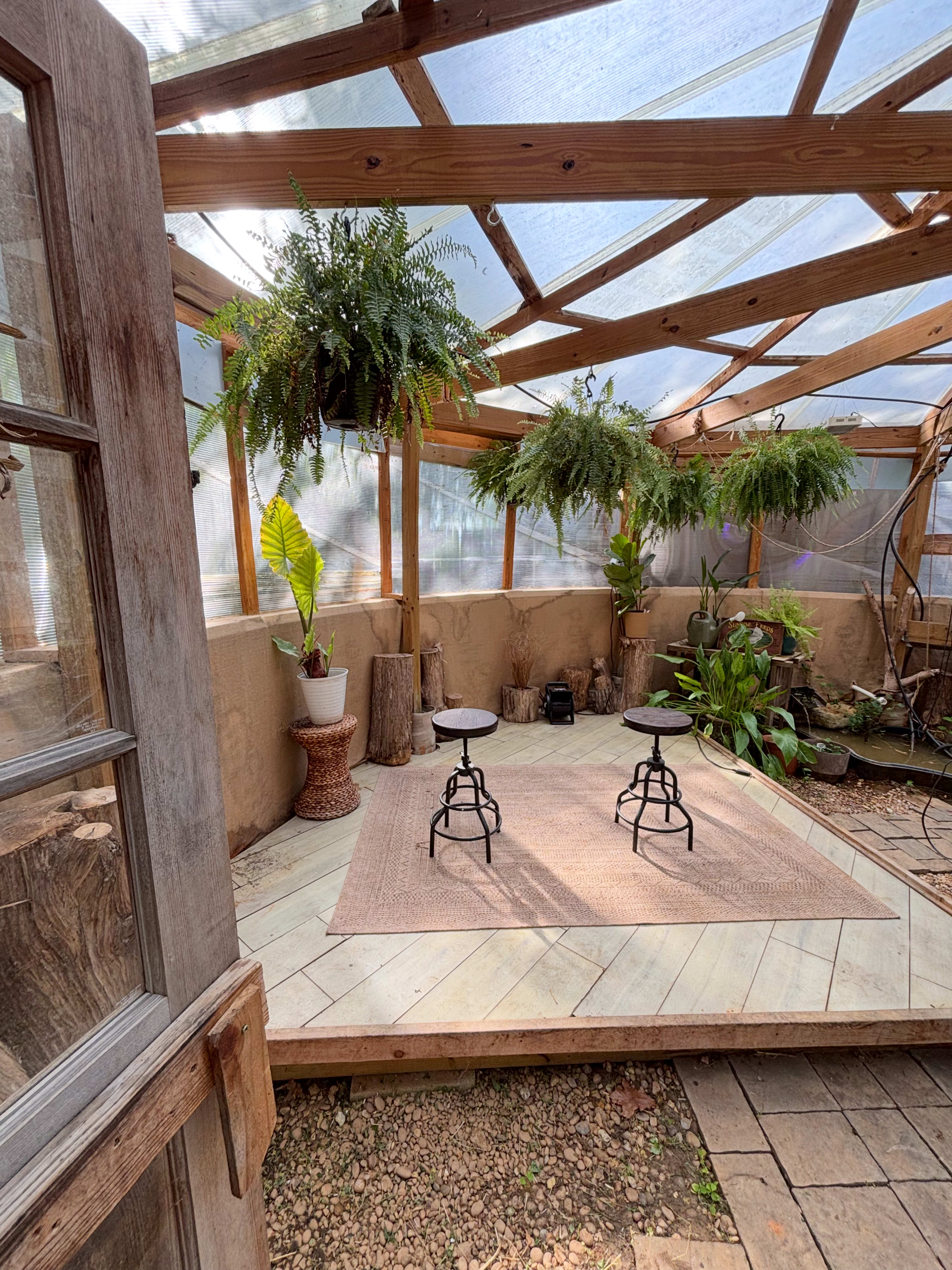 The image shows the interior of a greenhouse featuring wooden beams, hanging ferns, potted plants, and two metal stools placed on a rug.