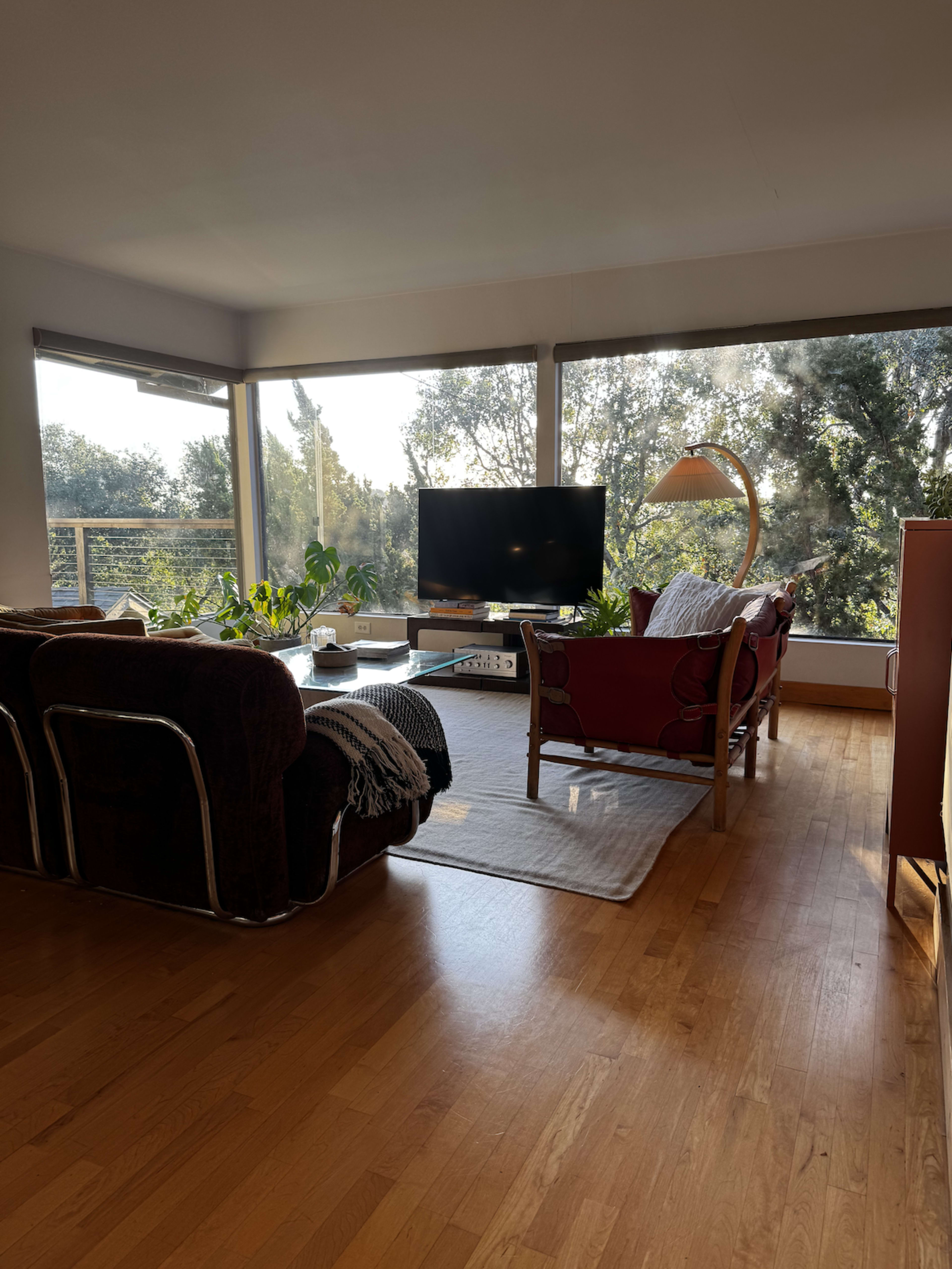 The living room features a television, two sofas, a coffee table, and large windows allowing natural light and a view of greenery outside.