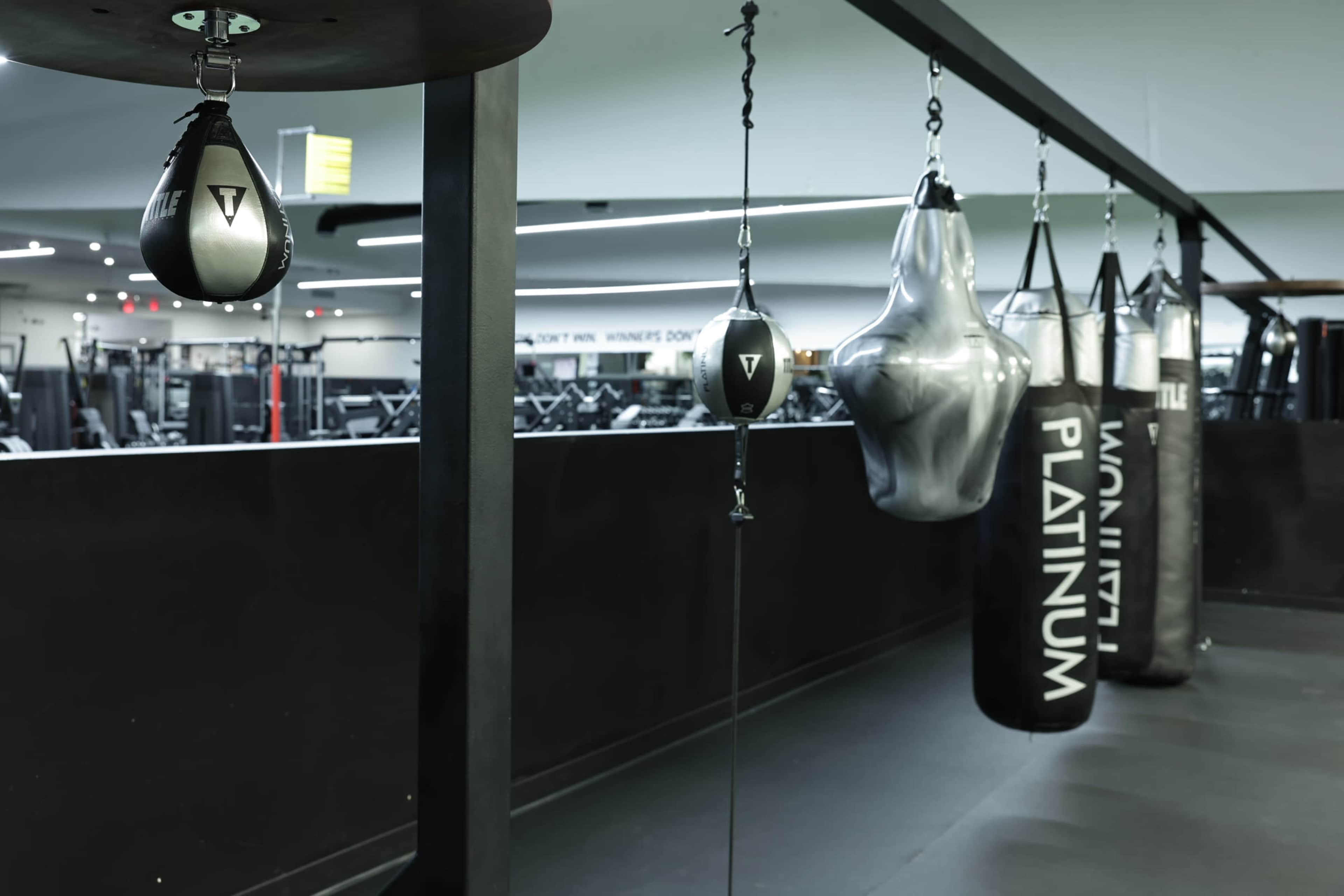 Full Boxing Setup – Ring, Bags & Training Area Image in South Scottsdale, Scottsdale, AZ