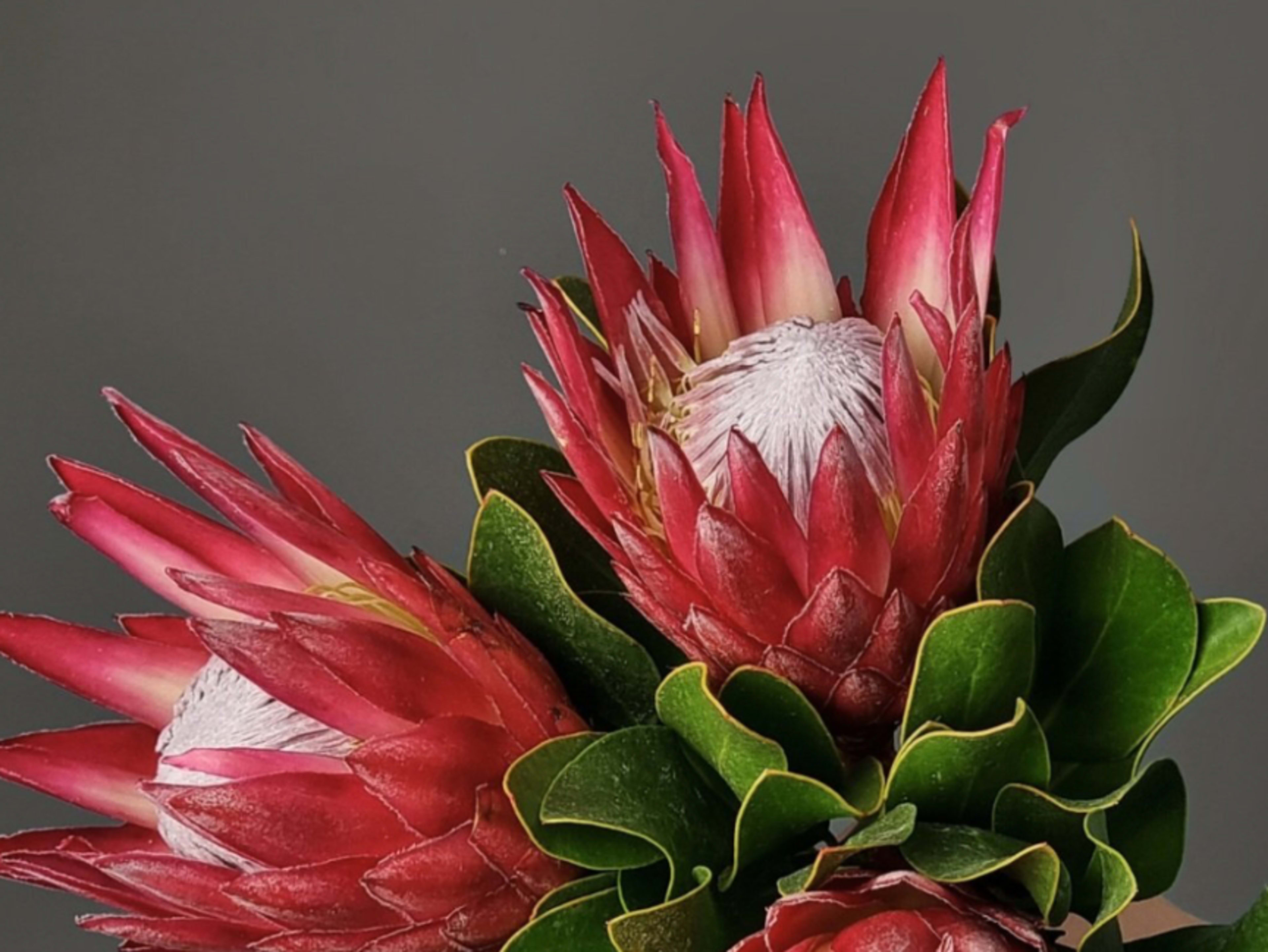 Floral Styling - The Bloom Social