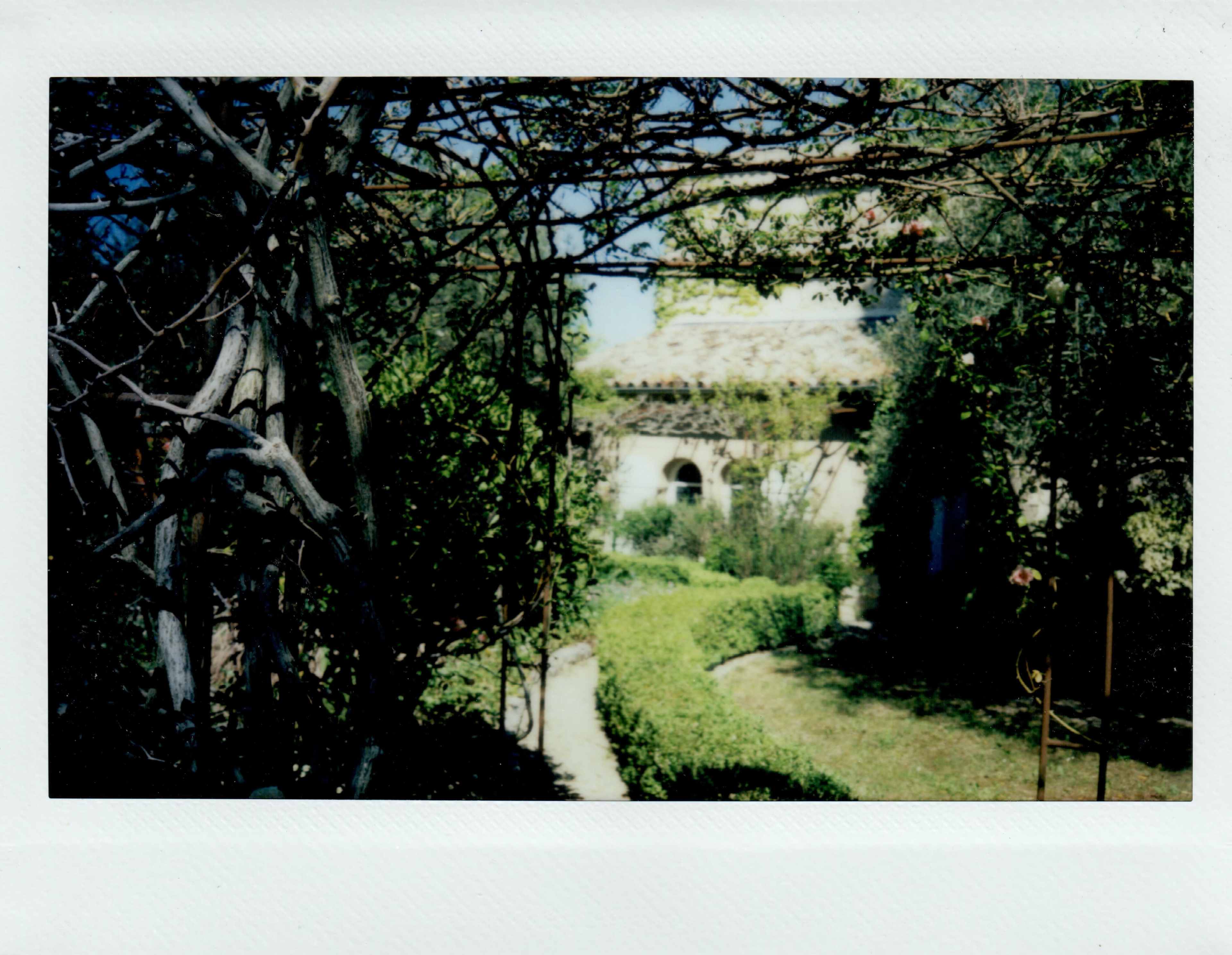 The image shows a garden with a stone building partially obscured by greenery and vines.
