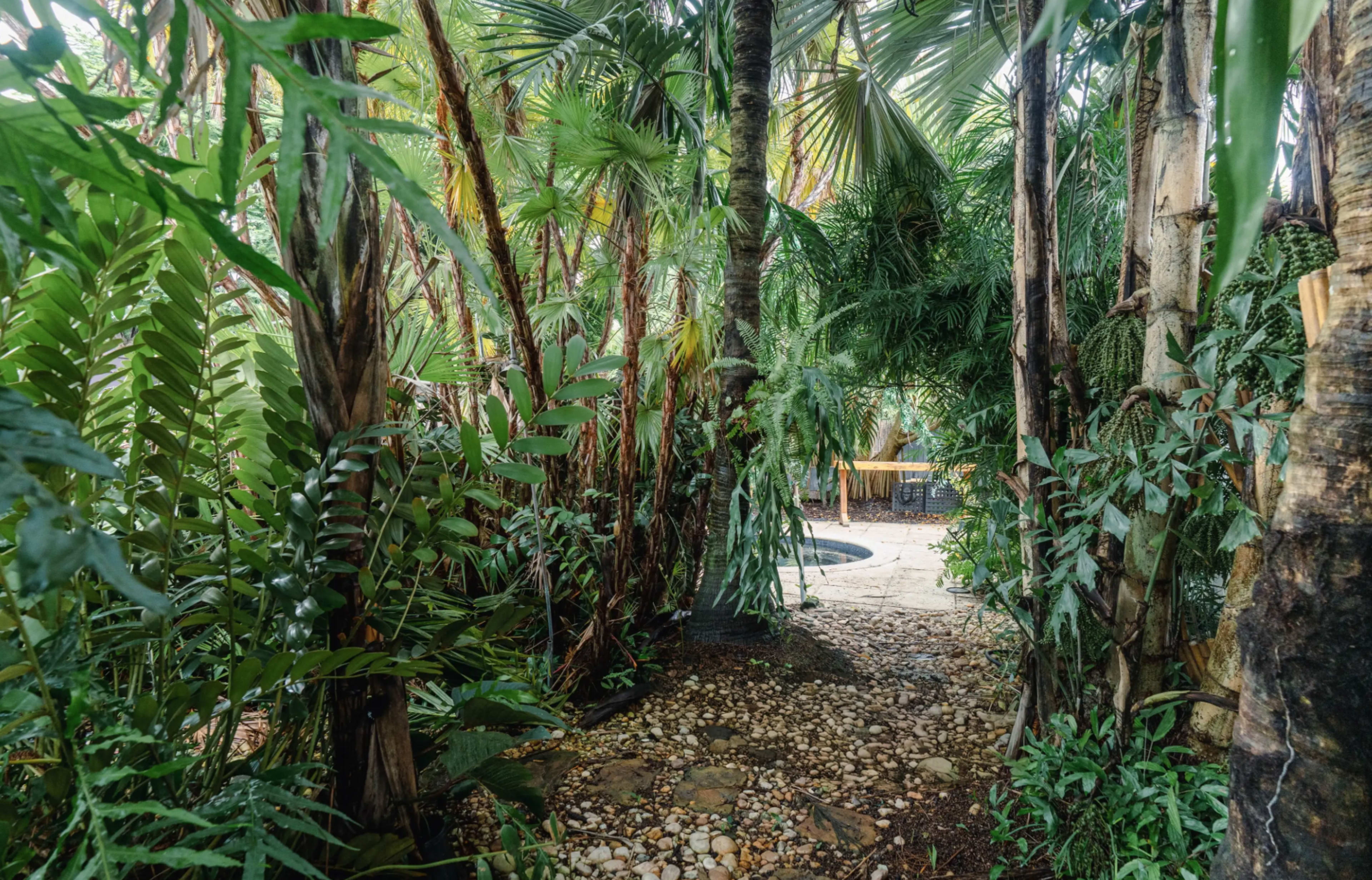 A narrow path winds through dense tropical foliage leading to a circular stone area.