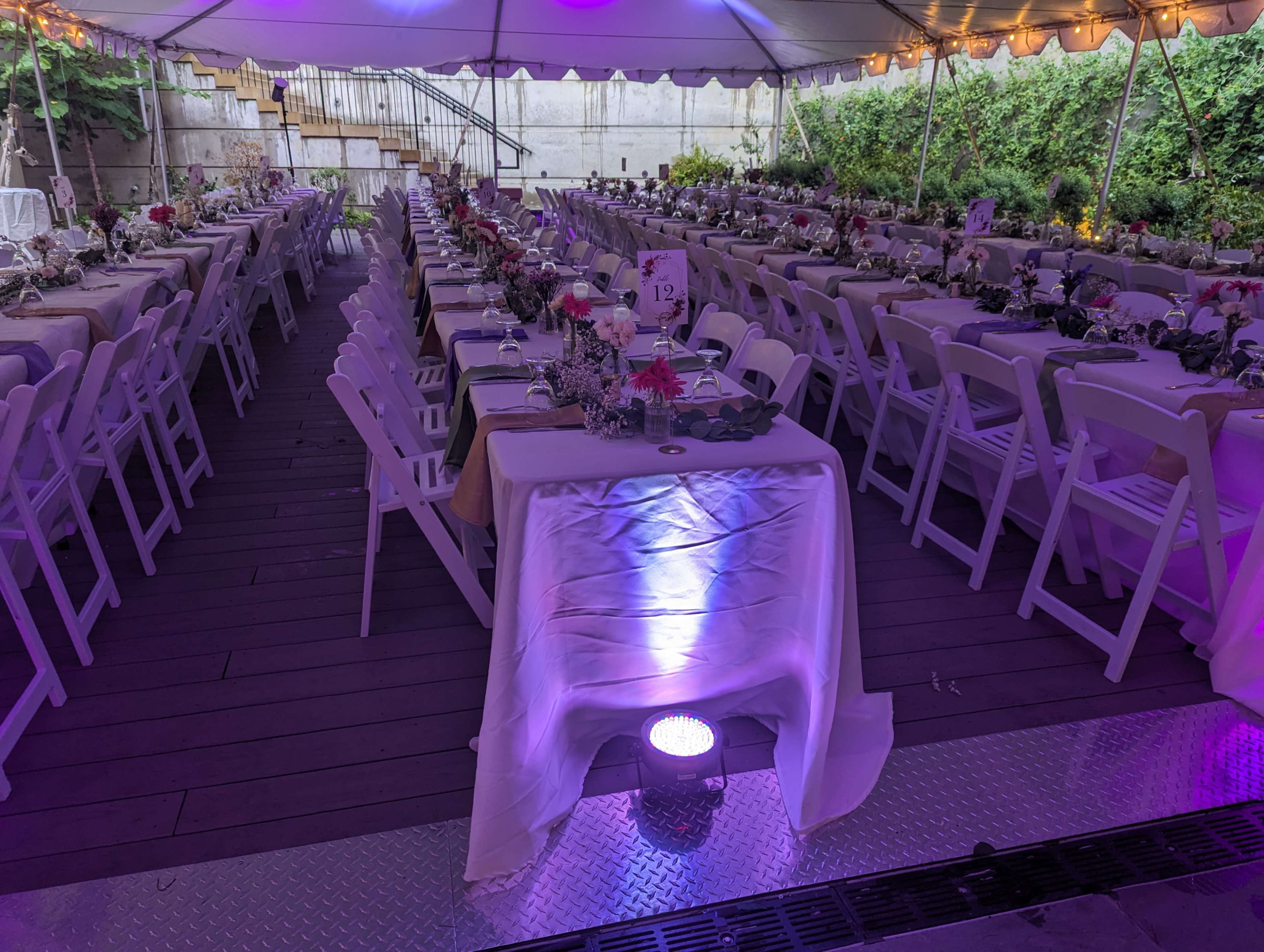A large tented area is set up for a dining event, featuring rows of white tables adorned with floral centerpieces and surrounded by white chairs.