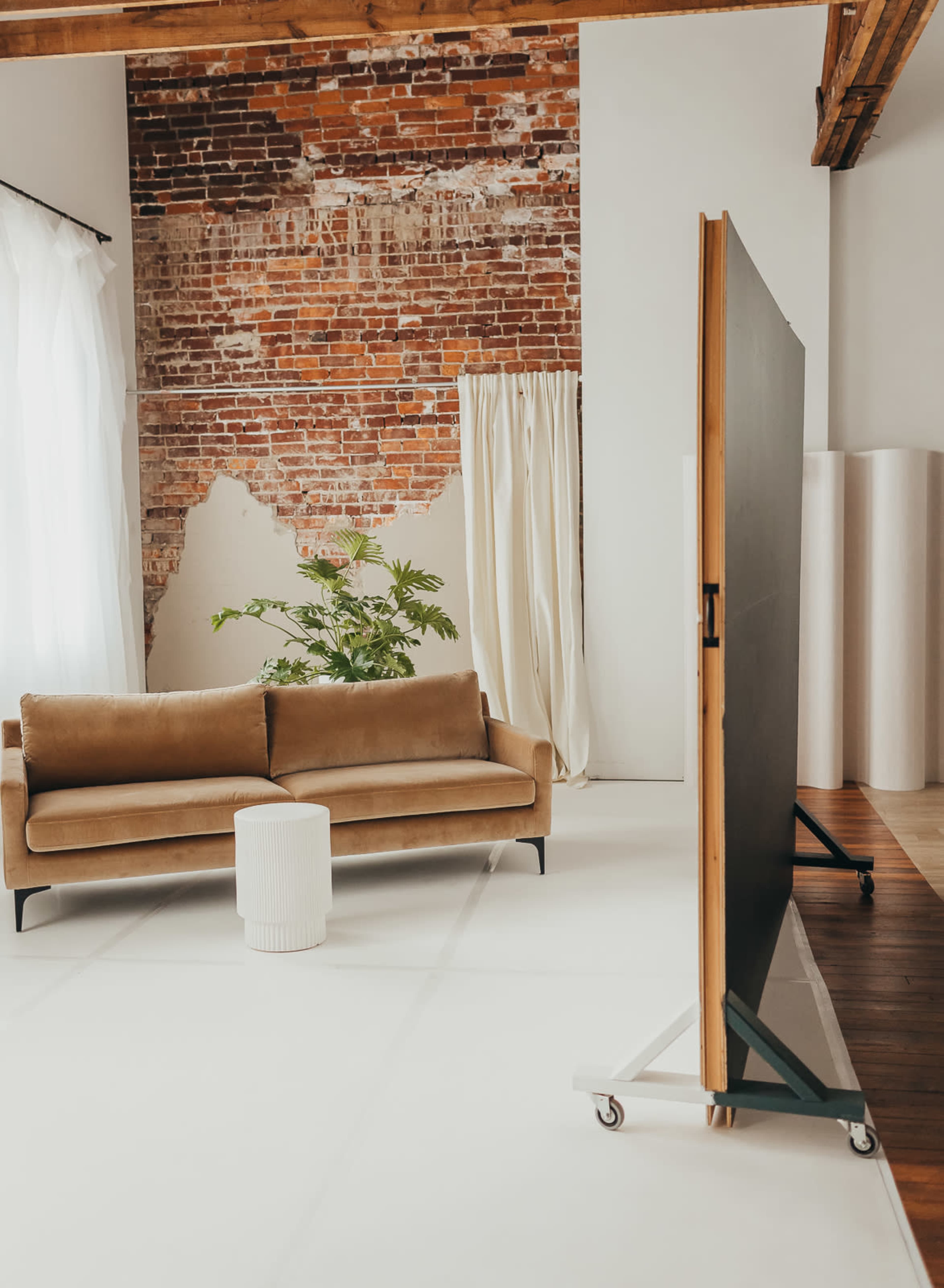 The image shows a modern interior space with a brown sofa, a white cylindrical table, a large backdrop on wheels, and a plant near a window with natural light.