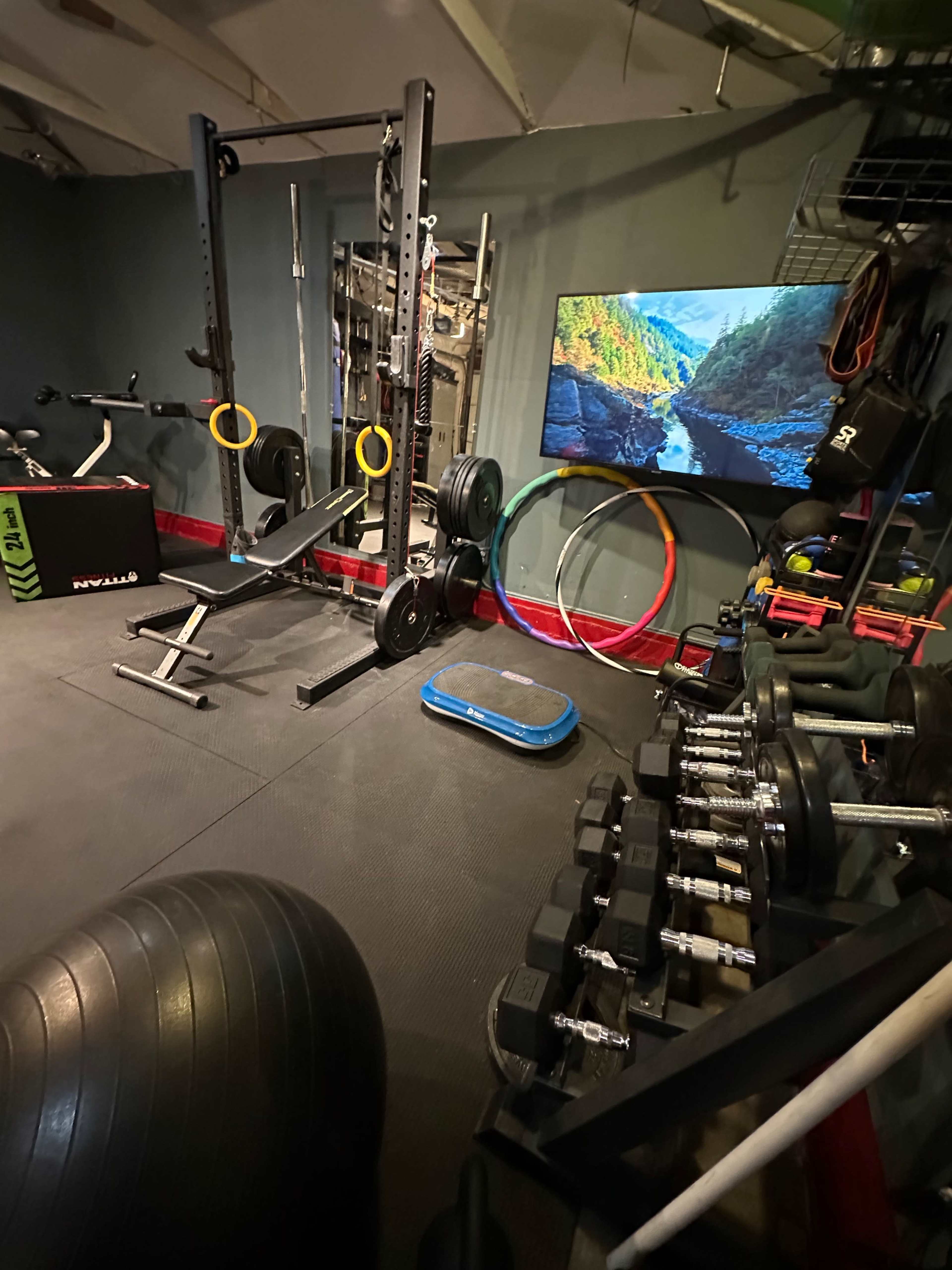 A well-equipped home gym featuring a squat rack, weights, exercise balls, a television displaying a nature scene, and workout equipment organized along the walls.